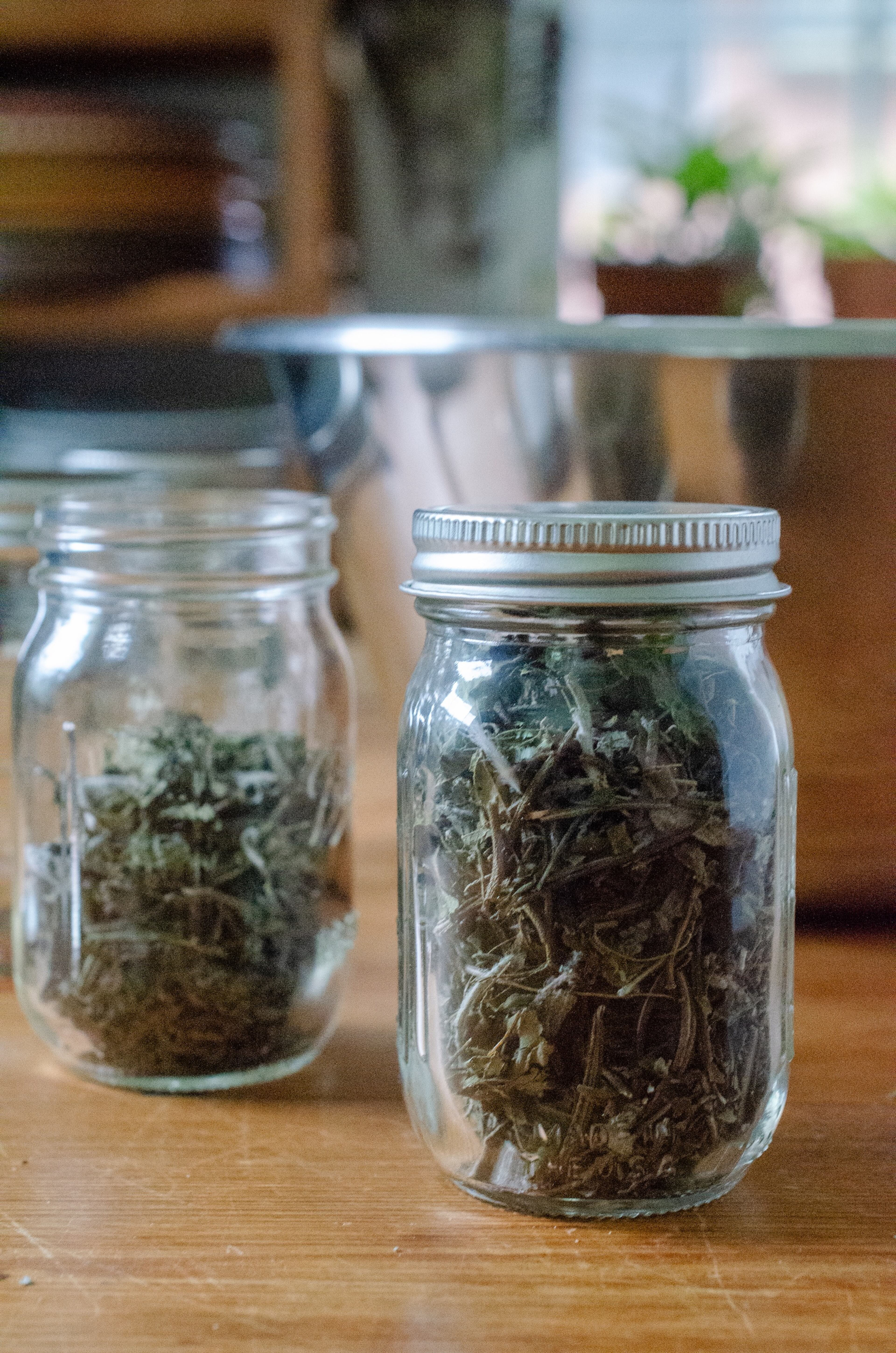 Italian Herb Seasoning Blend is a fragrant combination of basil, oregano, rosemary, sage and thyme. (Virginia Willis for the AJC)