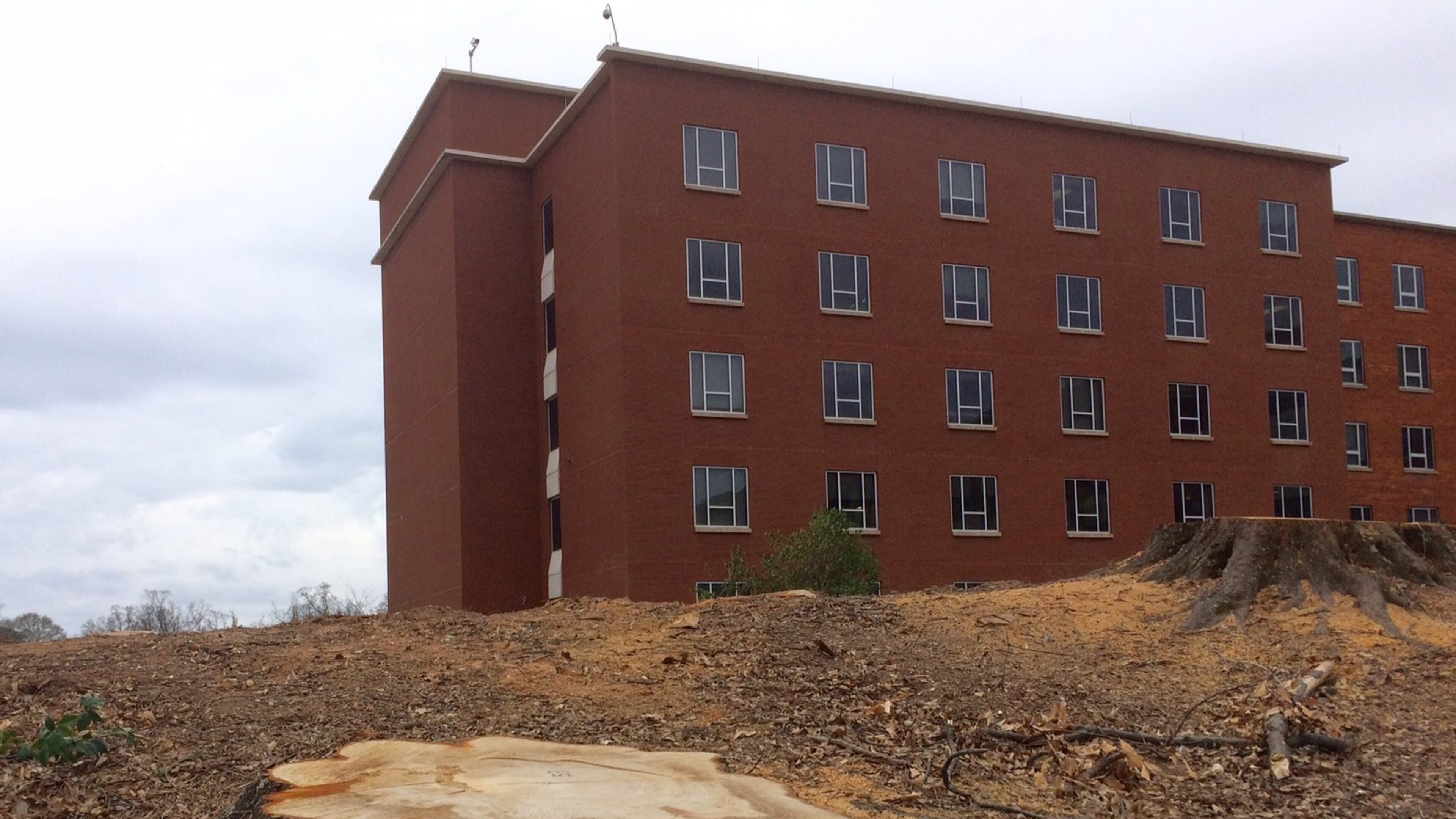 All that’s left of a mini-forest in front of Piedmont Hospital in Buckhead are a few healthy stumps as the hospital on Peachtree Street prepares to expand. Photo by Bill Torpy