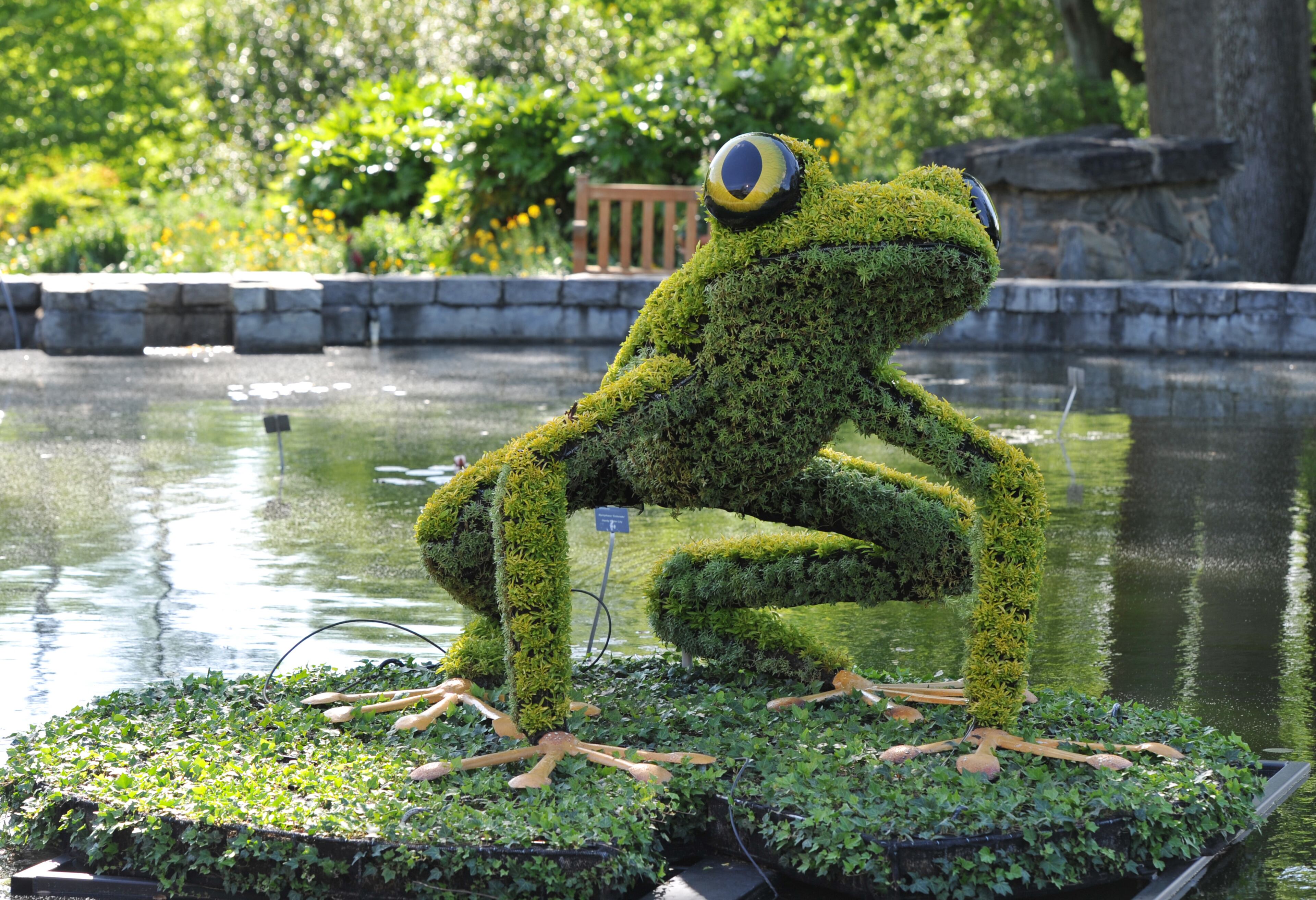 One of the four frogs that have joined "Imaginary Worlds" at the Atlanta Botanical Garden, on Thursday, May 1, 2014. HYOSUB SHIN / HSHIN@AJC.COM