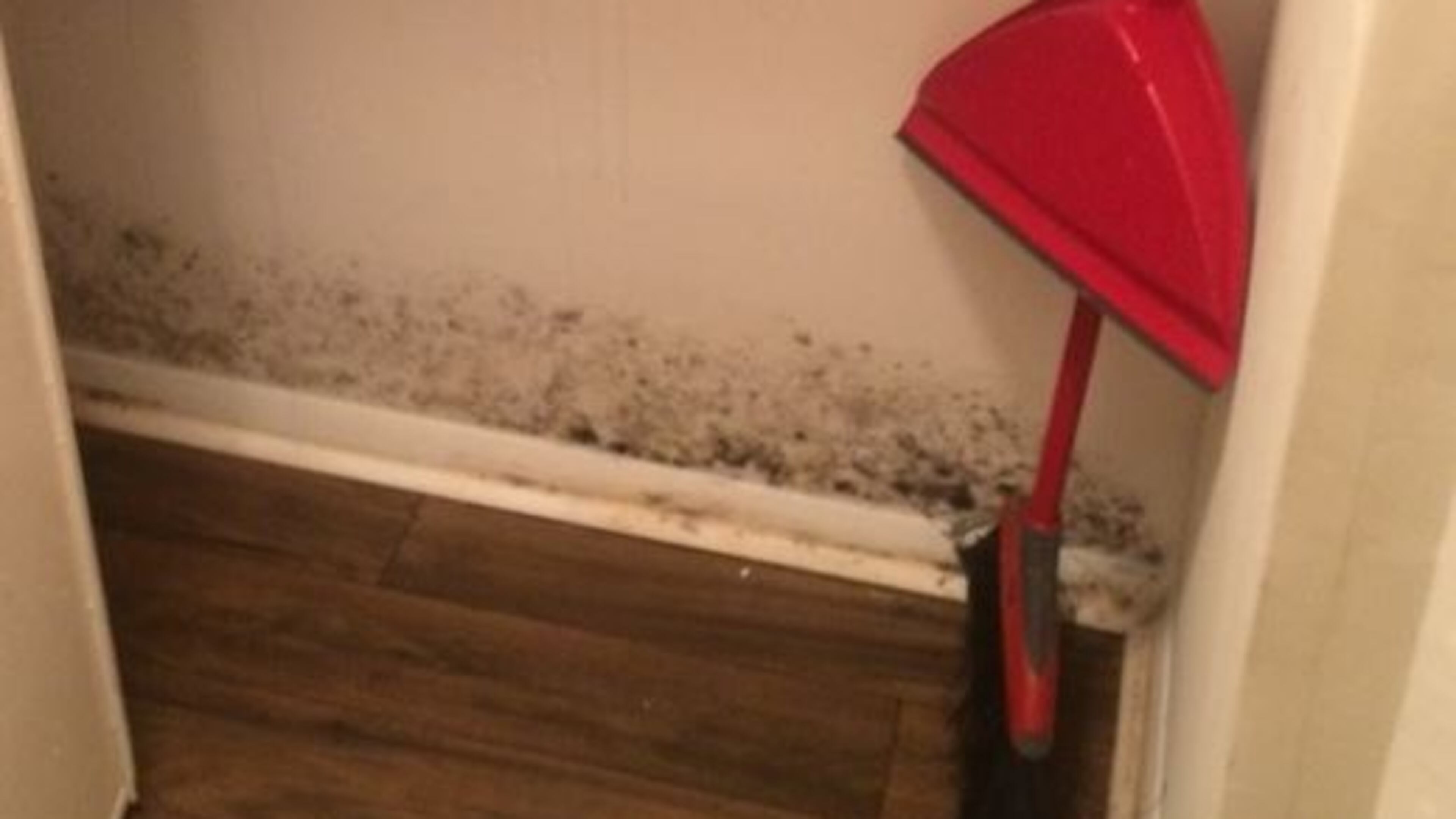 Brookstone Garden Apartment conditions have come under fire by the city of Brookhaven.