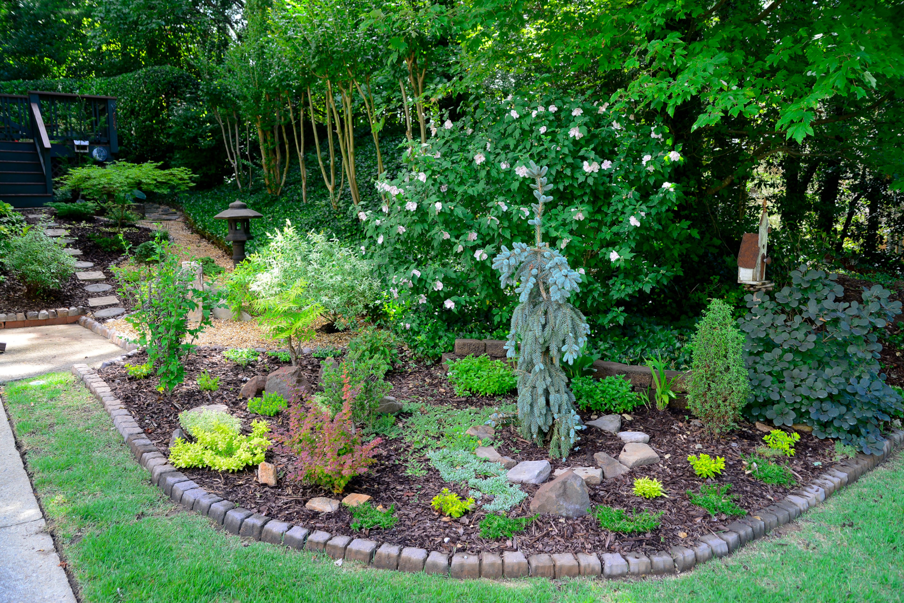 Homeowner Becky Smith has grown to love the evergreens selected by her husband, Lyman and their seasonal changes. "You never think that the evergreens, or the conifers, change, but they bud out just like our camellias," she said. "They just bud out in a different way in different shades of green, which can be so beautiful."