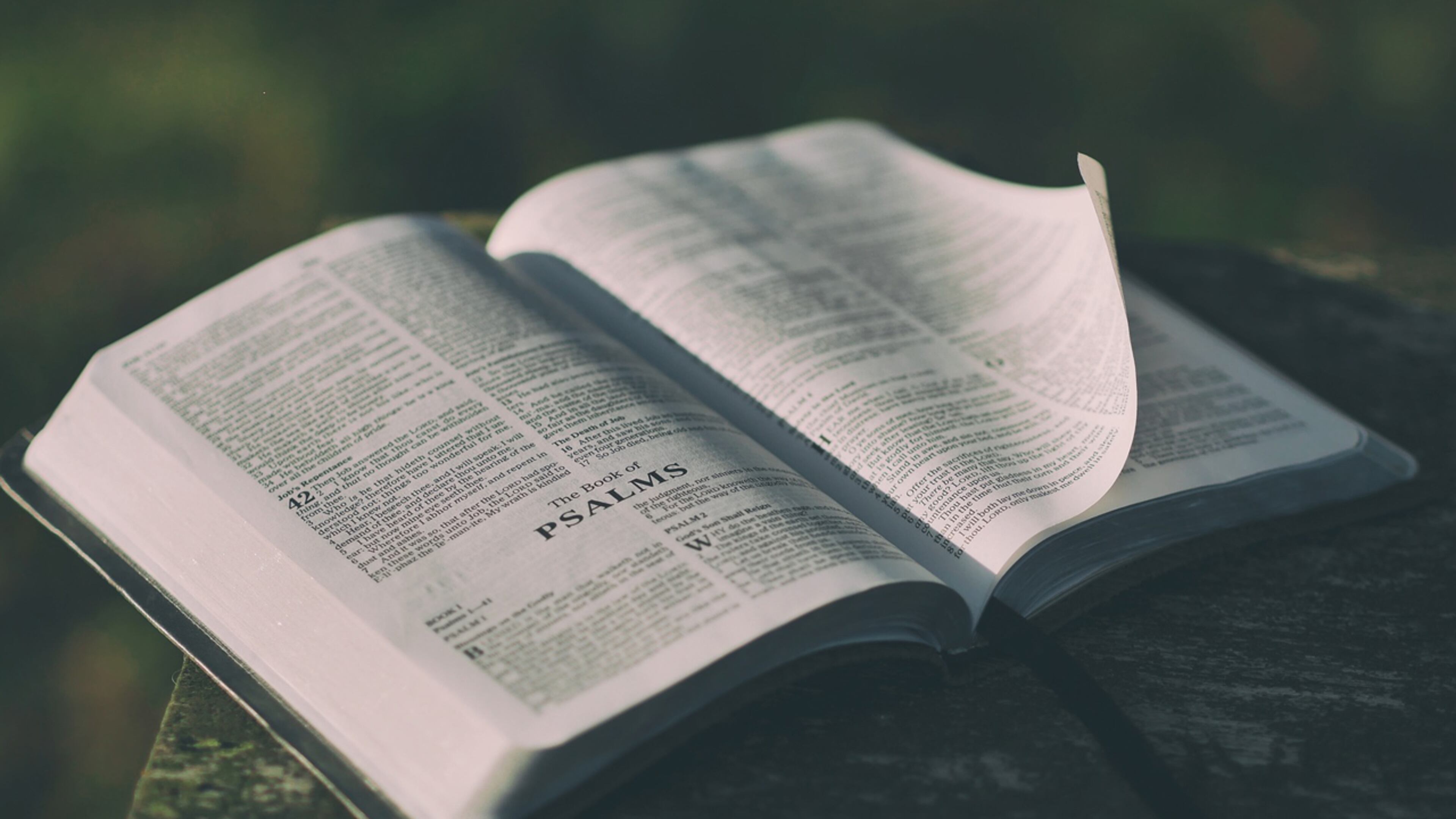 FILE PHOTO: A Bible survived two different fires over its 150-year-history.