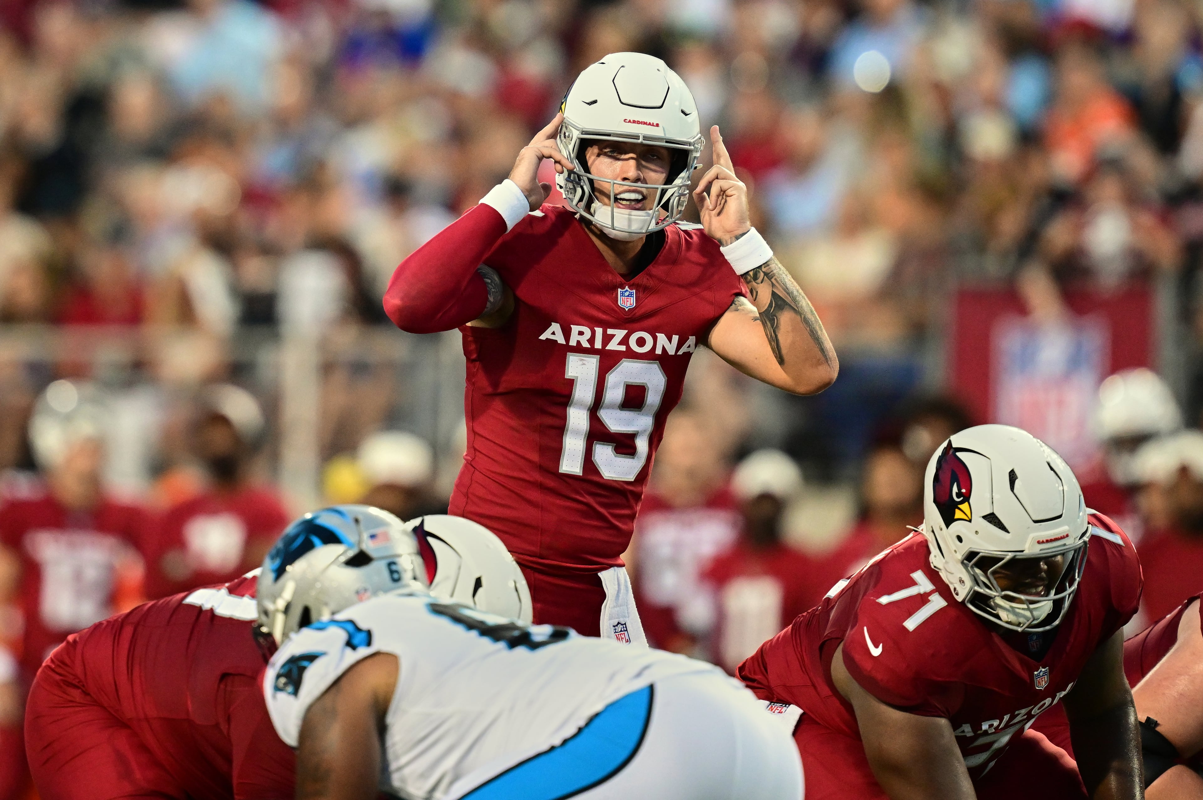 Panthers Cardinals Football