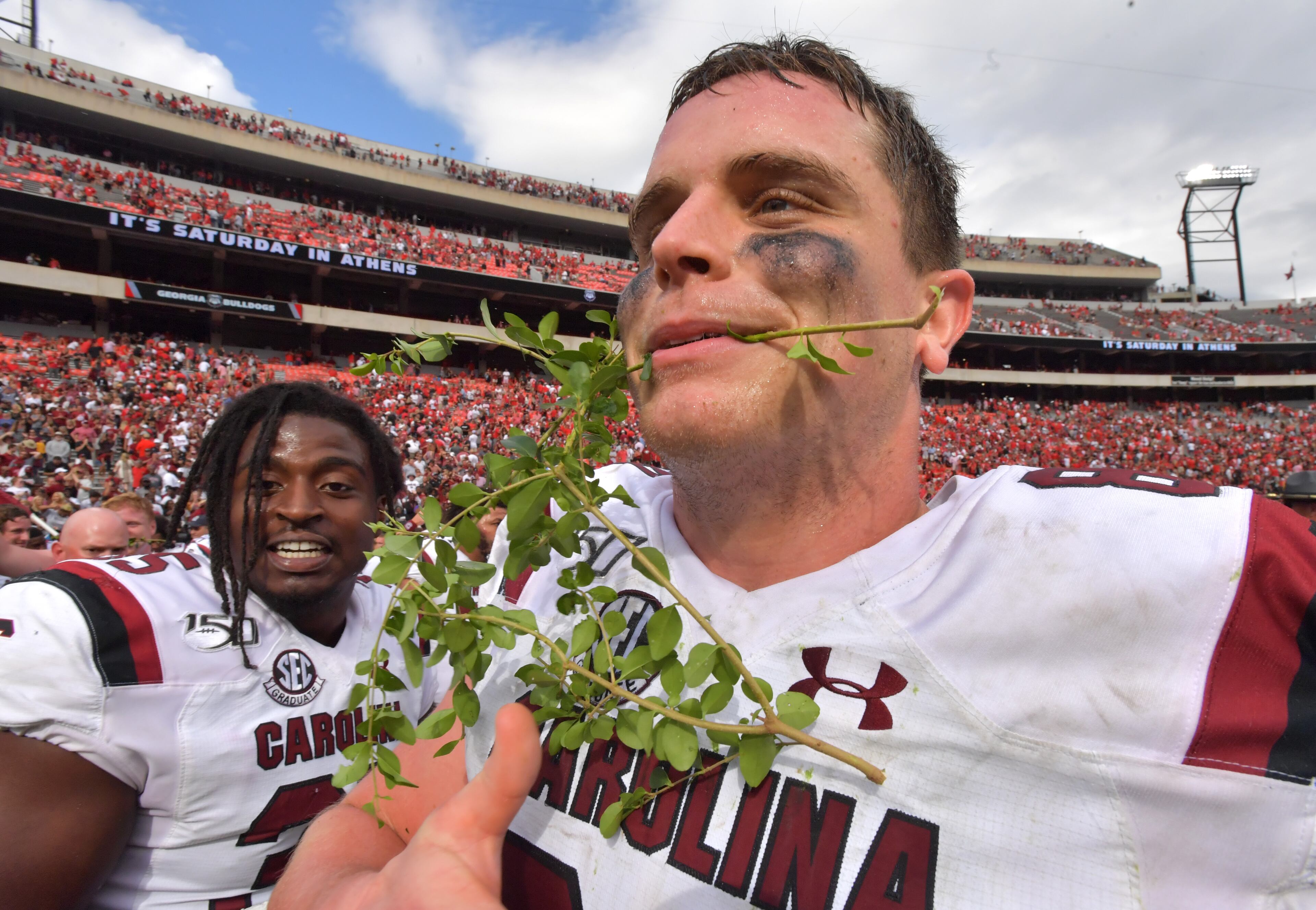 South Carolina tight end Kyle Markway (84) celebrates after South Carolina won. (Hyosub Shin / Hyosub.Shin@ajc.com)