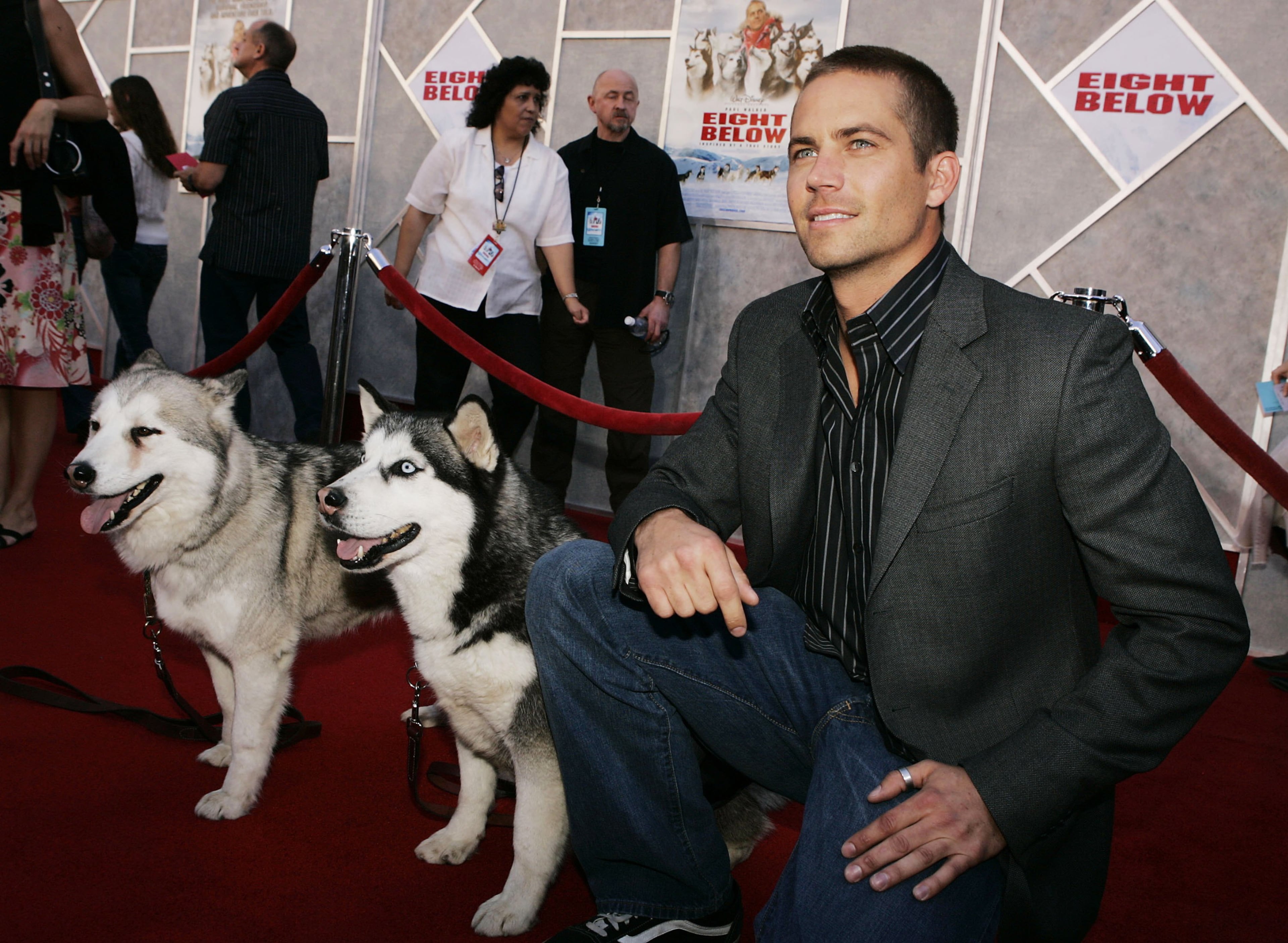 Actor Paul Walker poses with Koda Bear (L) and DJ at the premiere of Disney's "Eight Below" at the El Capitan Theater on February 12, 2006 in Los Angeles, California.
