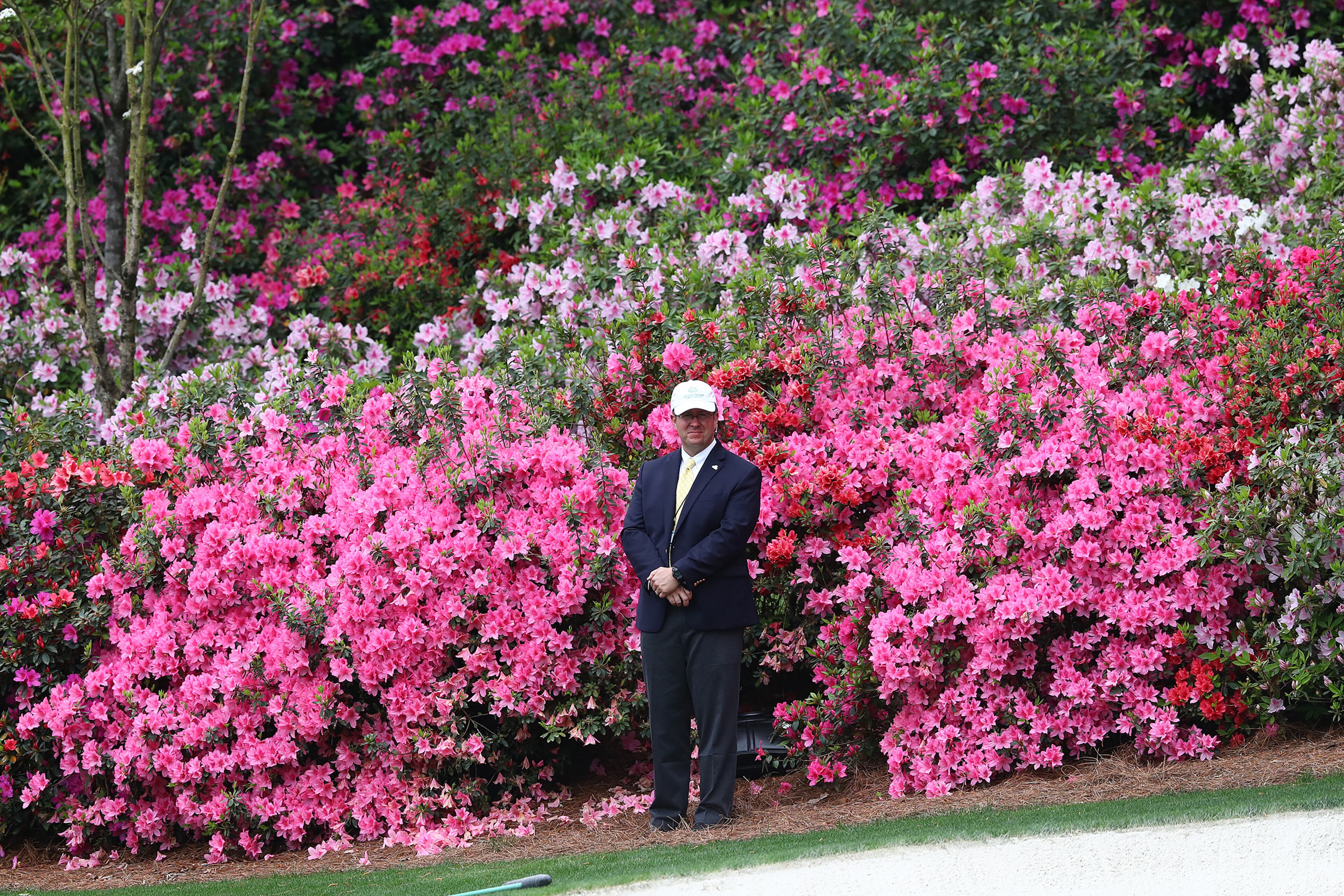 The azaleas are in full bloom at the 13th green as a official watches over the inaugural Augusta National Women's Amateur at Augusta National Golf Club on Saturday, April 6, 2019, in Augusta. Curtis Compton/ccompton@ajc.com