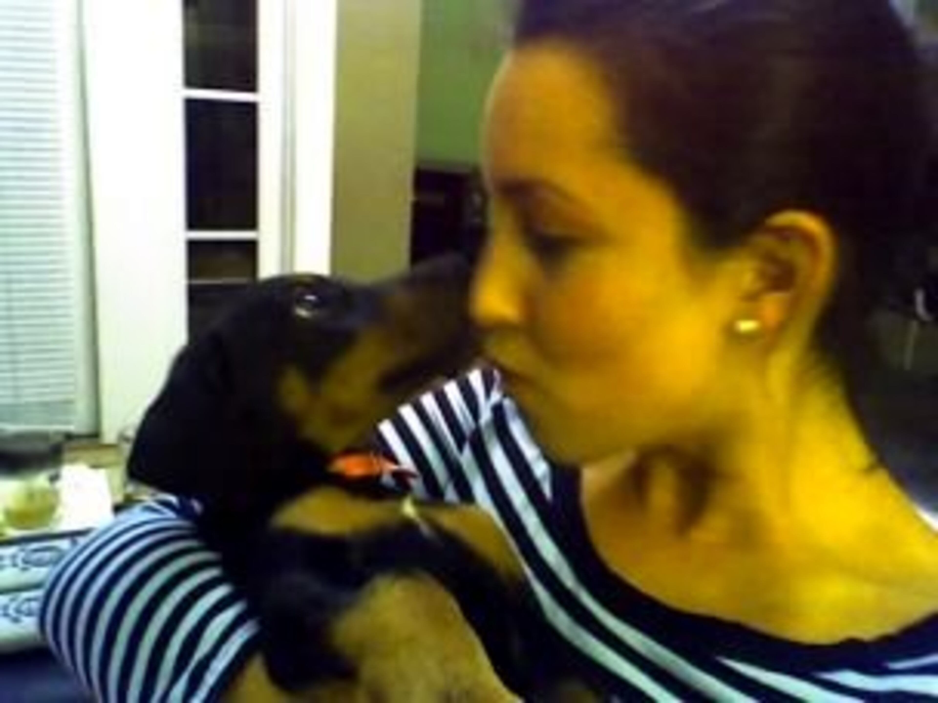 Eva gives her owner, Melissa Haberlen, a kiss. It's good to be a doberman!