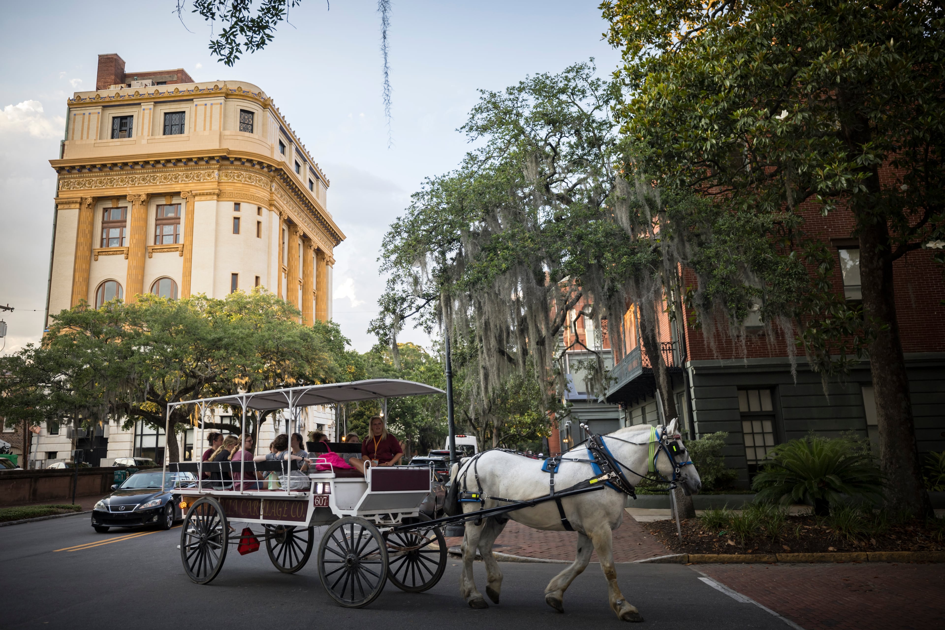 SAVANNAH, GA - MAY 28, 2024: A Magnolia Carriage Co. horse-drawn carriage turns onto famous Jones Street during a tour of the Landmark Historic District, Tuesday, May 28, 2024, in Savannah, Ga. (AJC Photo/Stephen B. Morton)