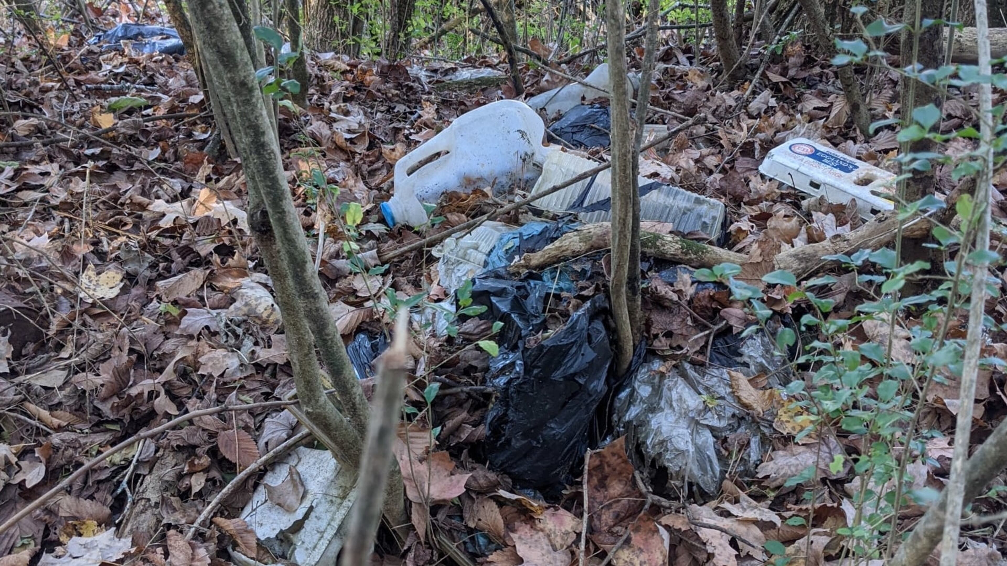 Gwinnett County will begin partnering with Hefty on Friday to collect hard-to-recycle items such as plastic bags, foam egg cartons and plastic dinnerware. (Courtesy Gwinnett Recycles)