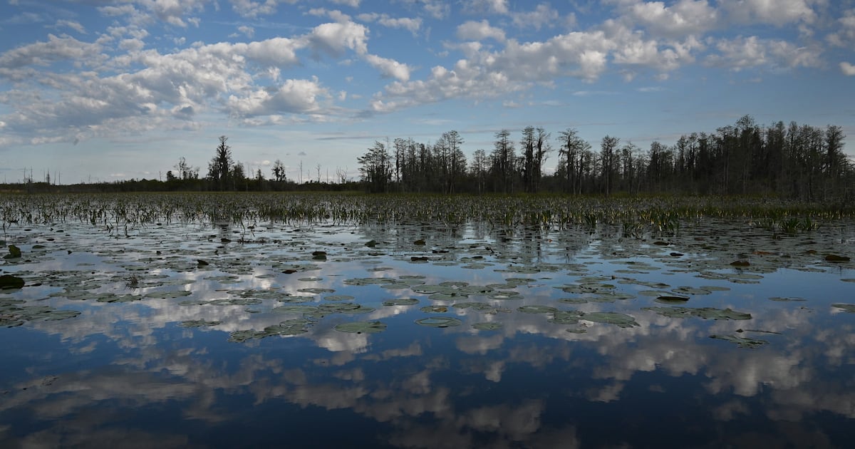 Georgia’s Okefenokee Swamp is now a UNESCO World Heritage site
