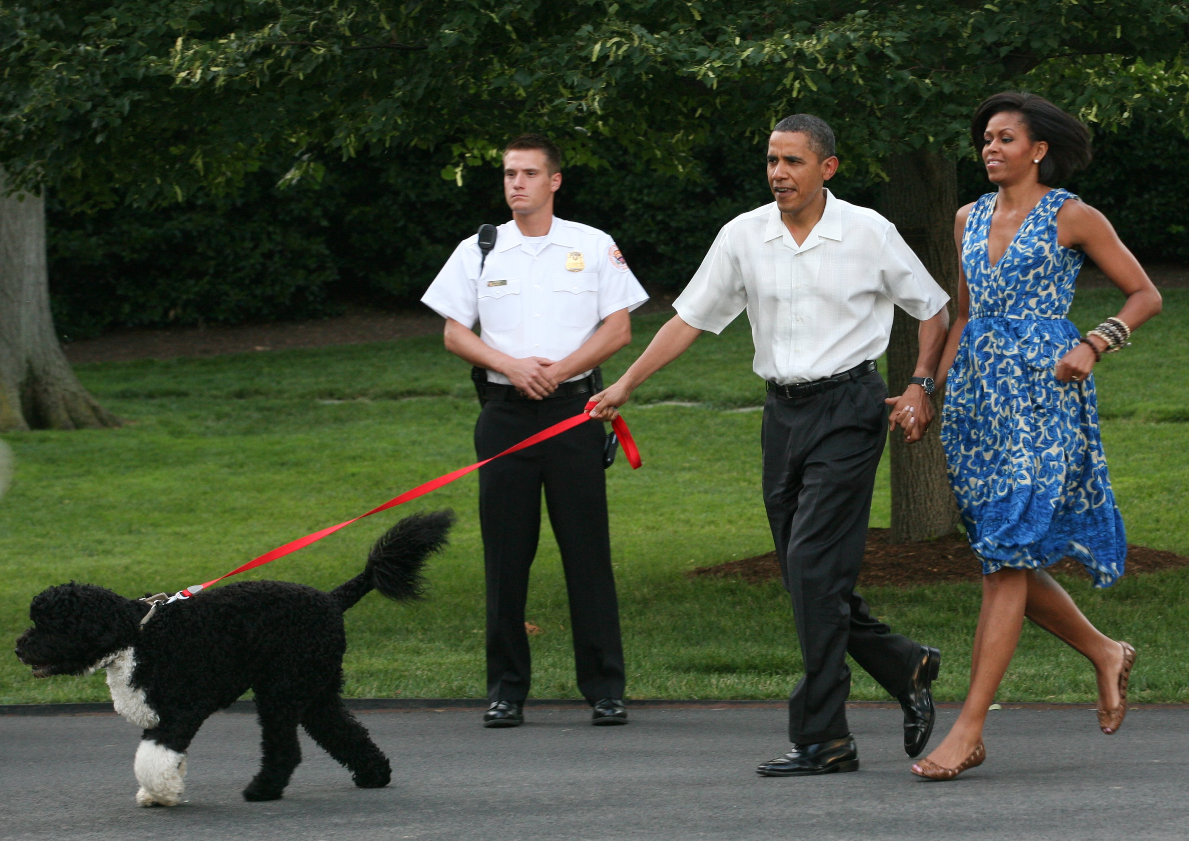 U.S. President Barack Obama and first lady Michelle Obama walk first dog Bo to a picnic for members of Congress on the South Lawn of the White House June 8, 2010 in Washington, DC.. The first dog Bo was in tow. Alaskan Salmon smoked on an open pit was served for dinner. (Photo by Gary Fabiano-Pool/Getty Images)