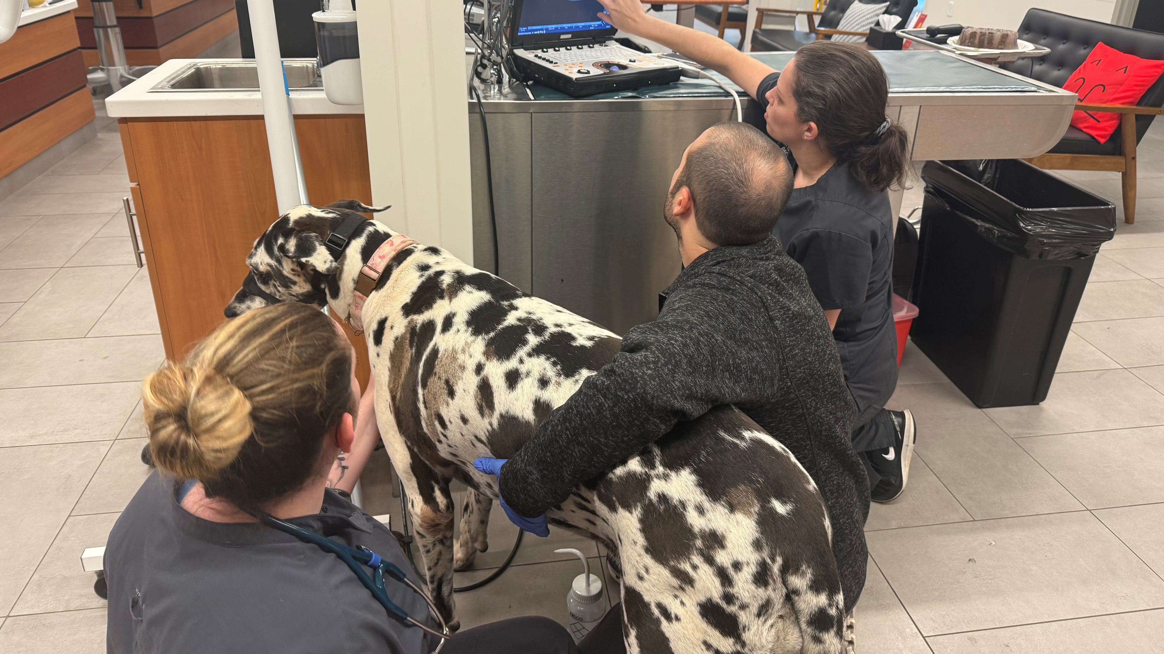 Follow these tips to help make sure your dog doesn't end up in the emergency room at VEG ER for Pets in Snellville or any other vet this Thanksgiving. (Courtesy of Dr. Jessica Corley/VEG ER for Pets Snellville)