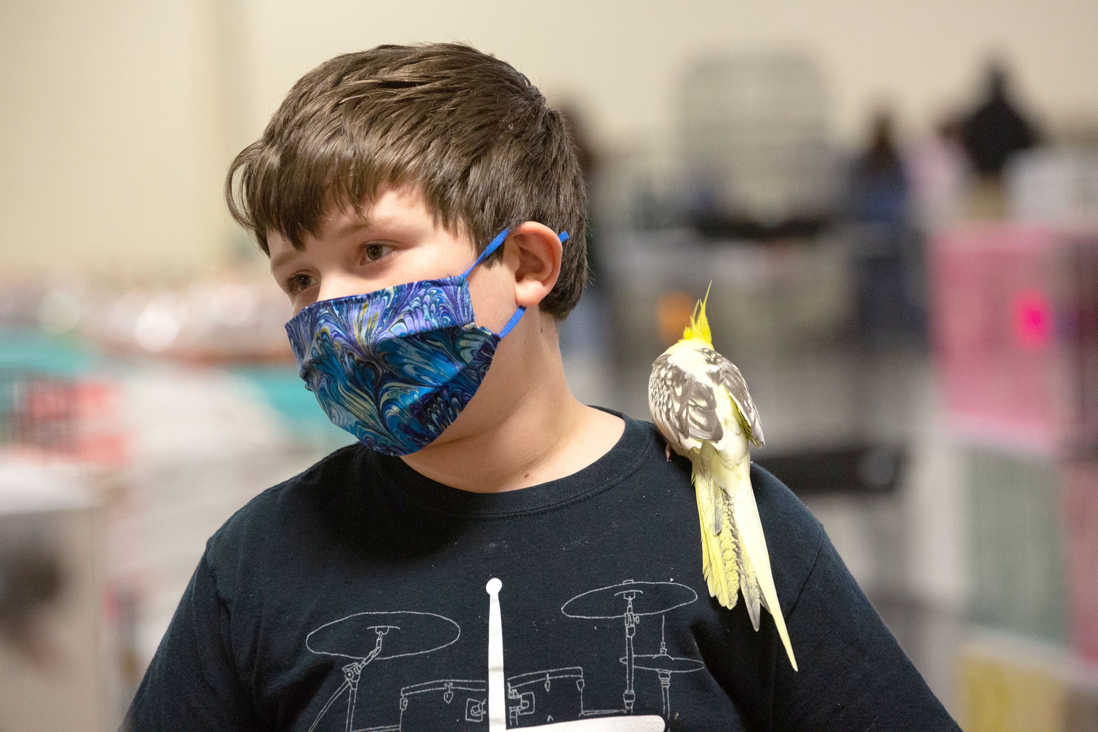 Benjamin Dodd walks around with his bird during the Southeast Exotic Bird Fair at the Gwinnett County Fairgrounds on Saturday, December 5, 2020. (Photo: Steve Schaefer for The Atlanta Journal-Constitution)