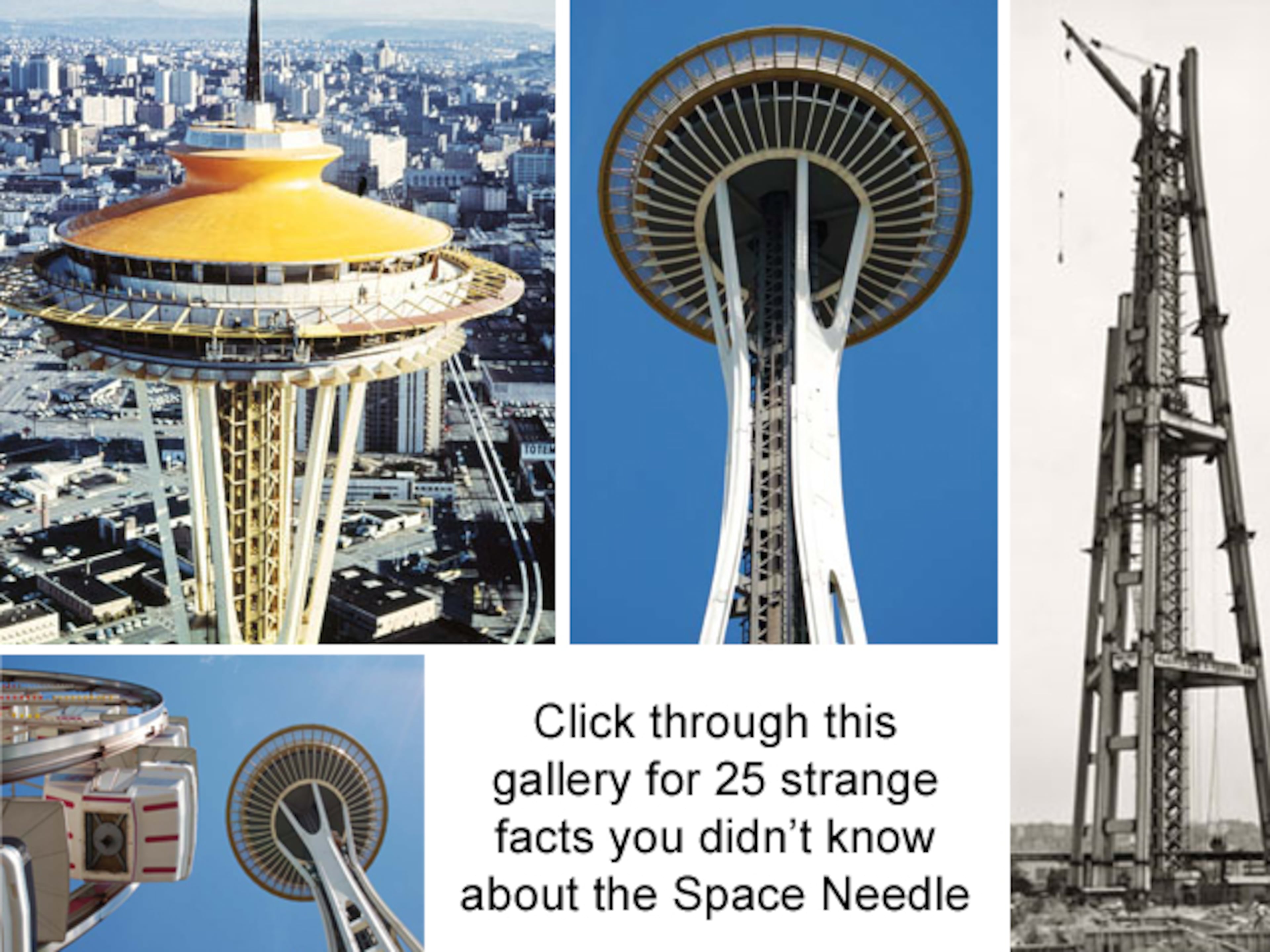 Information courtesy of spaceneedle.com