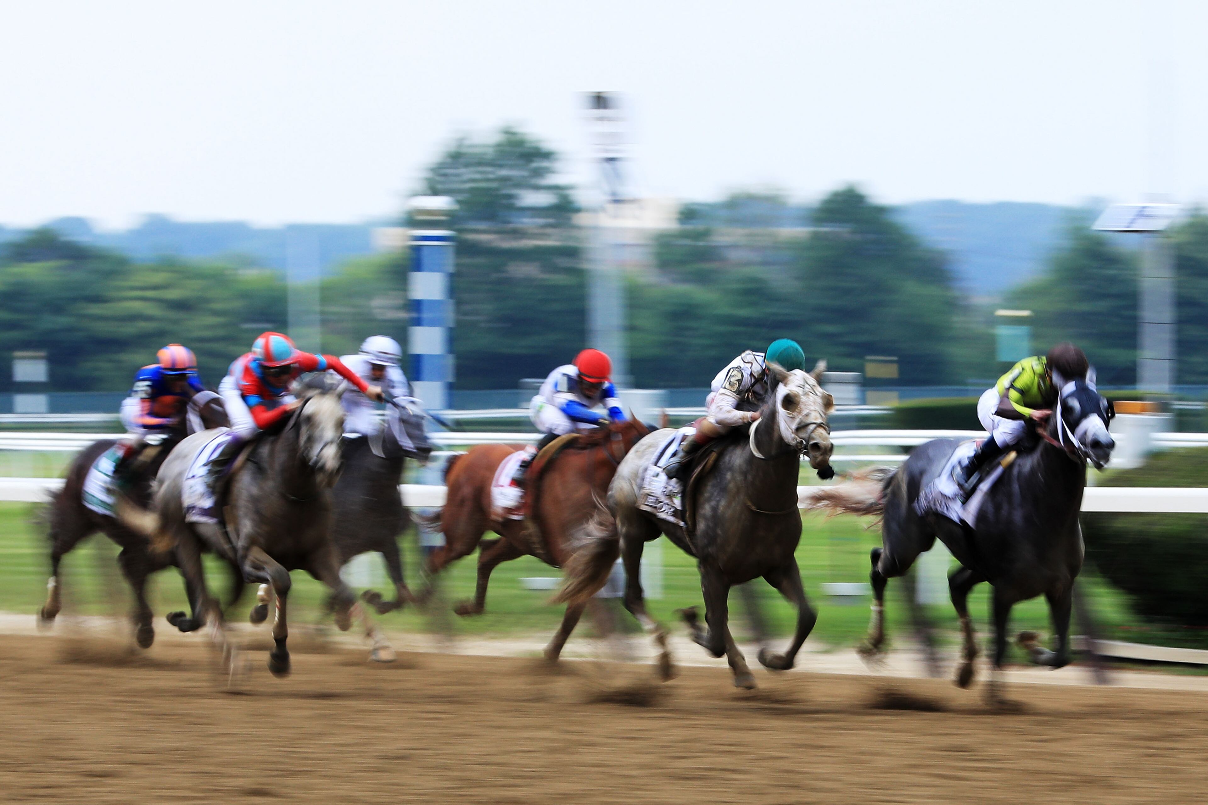 ELMONT, NY - JUNE 11: Creator with jockey Irad Ortiz Jr. up leads the field to the finish to win the The 148th running of the Belmont Stakes at Belmont Park on June 11, 2016 in Elmont, New York. (Photo by Cliff Hawkins/Getty Images)