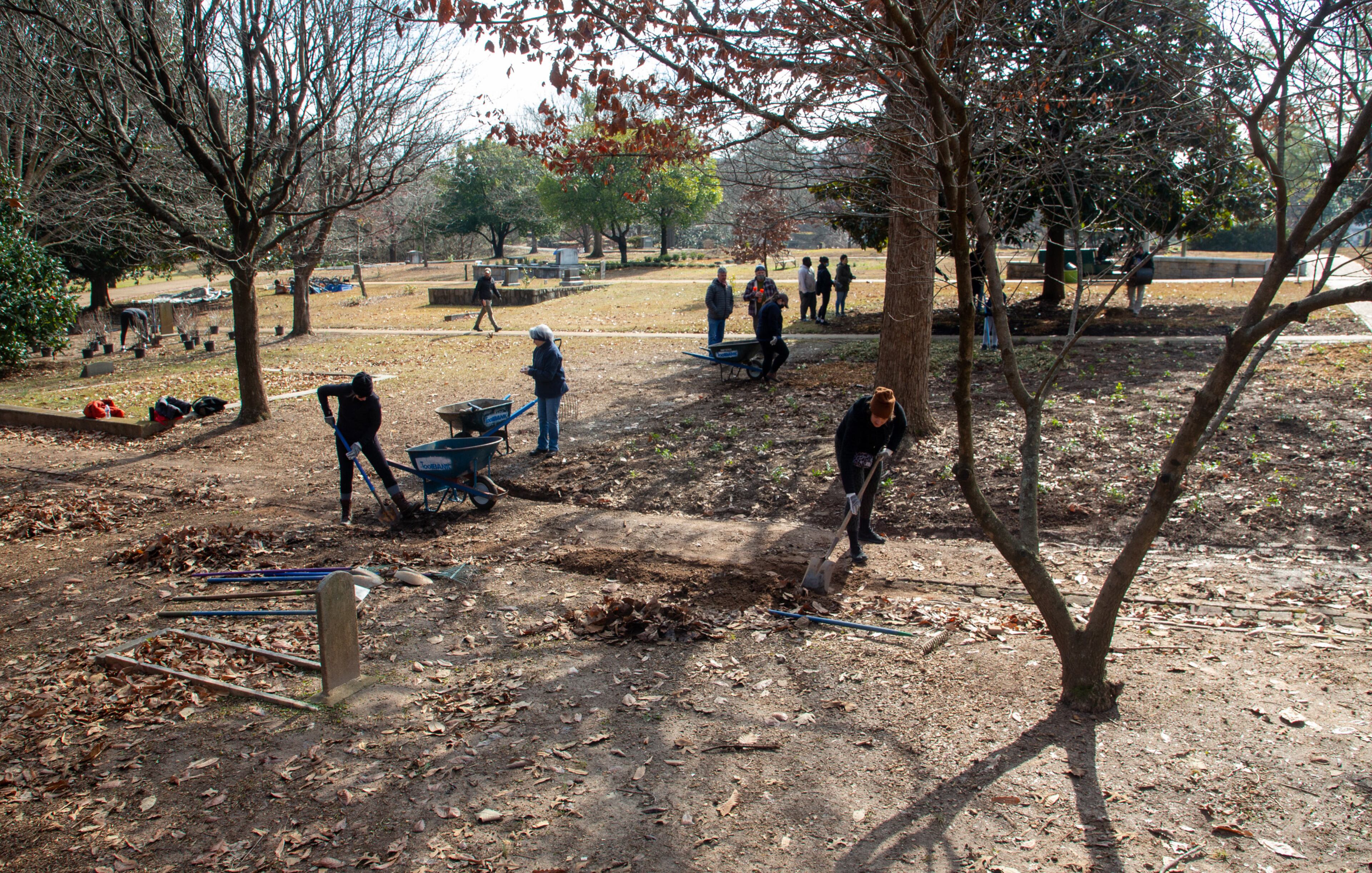 More than 50 volunteers handle plants and help clean up in the historically African American section of Oakland Cemetery on Saturday, January 22, 2022. The event was planned Monday to commemorate the Martin Luther King Jr. National Day of Service but was postponed because of the holiday weekend's winter storm. (Photo by Steve Schaefer for The Atlanta Journal-Constitution)