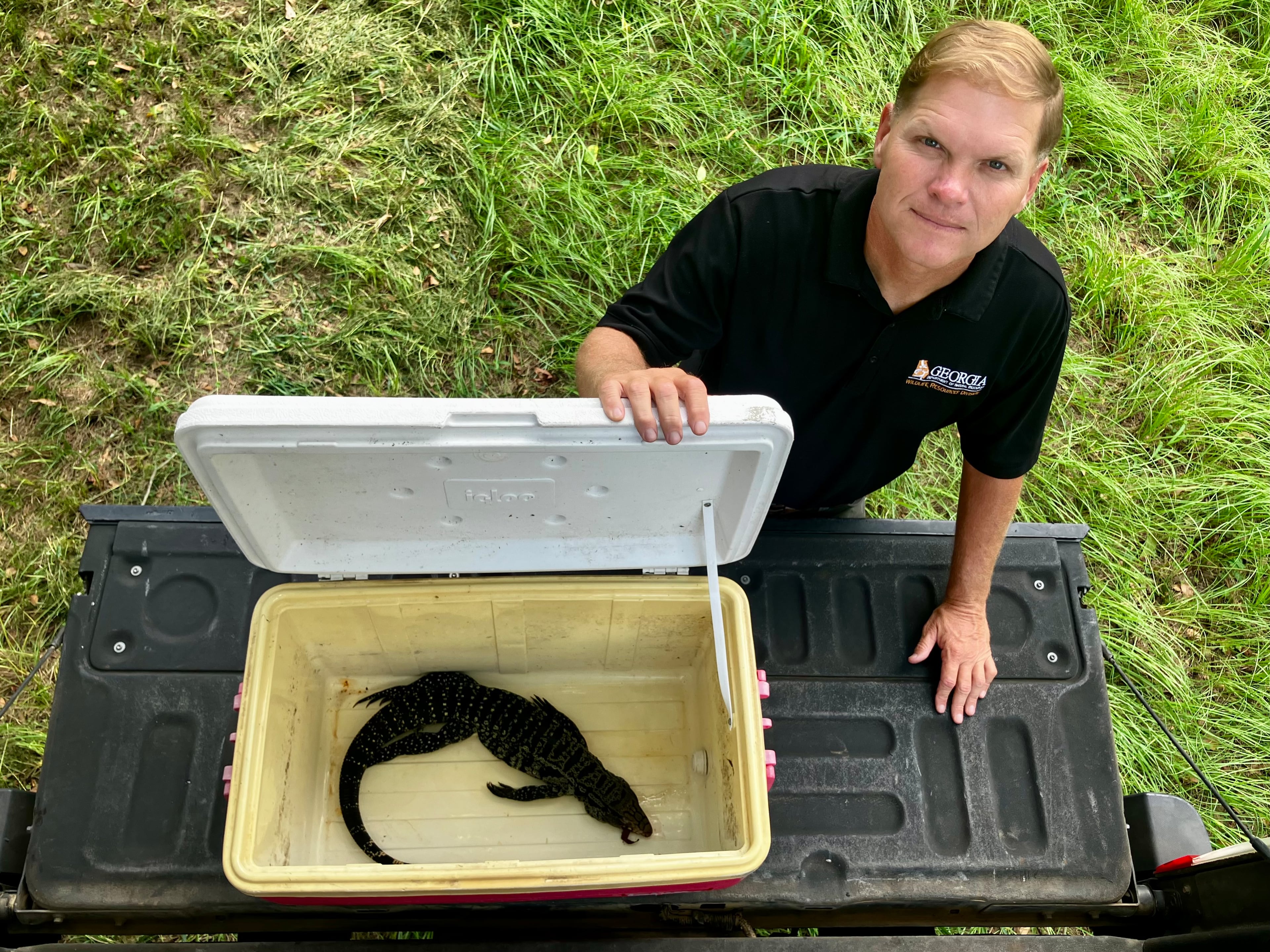 Jim Gillis, a supervisor for the state Department of Natural Resources in South Georgia, keeps a cooler handy to pick up dead tegus. State officials and residents in Tattnall and Toombs counties have killed about 50 of the invasive species. (Mark Davis for the AJC)