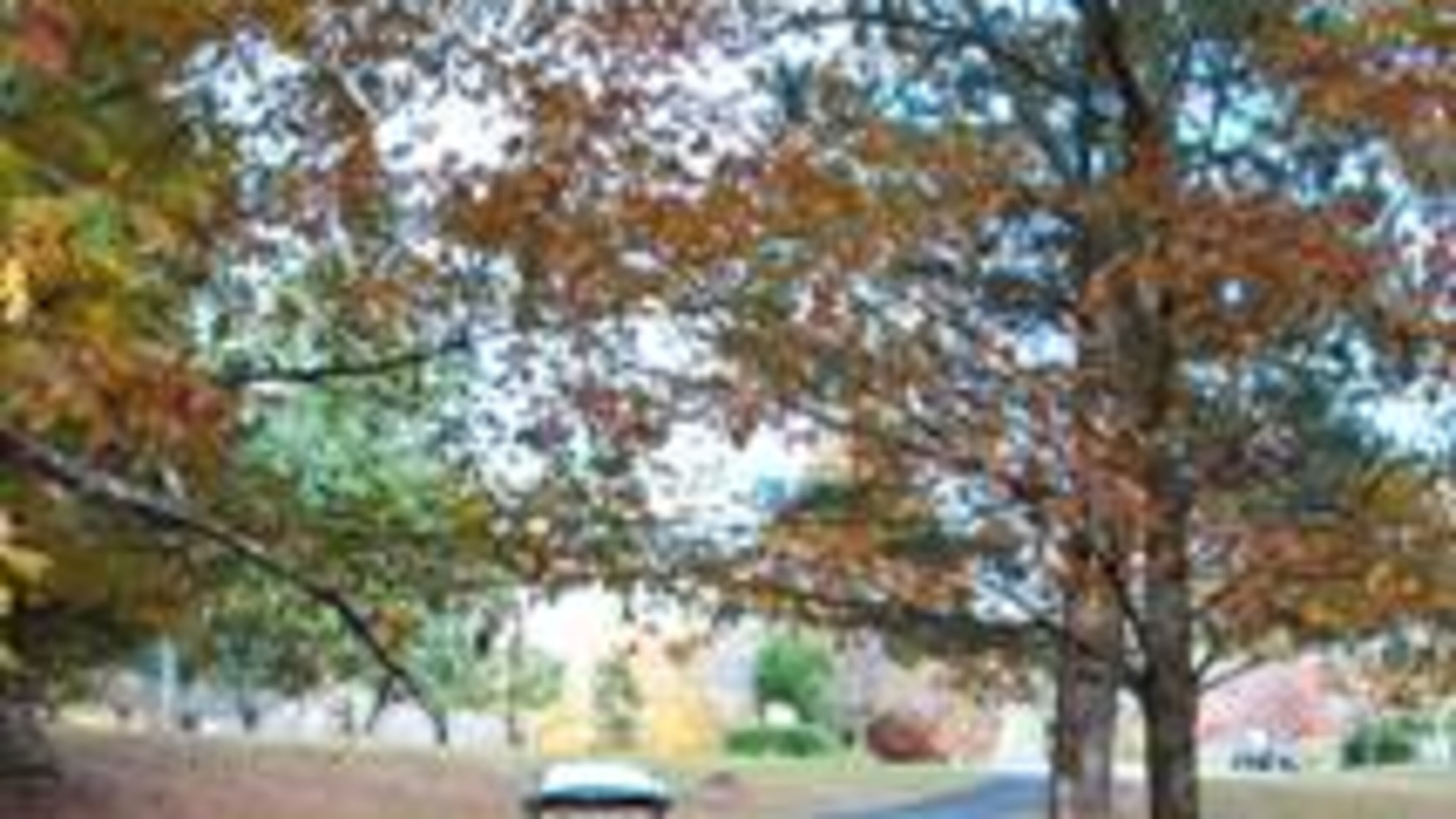 Pedestrians, but not golf carts, have the right of way when using Peachtree City crosswalks. Courtesy Peachtree City