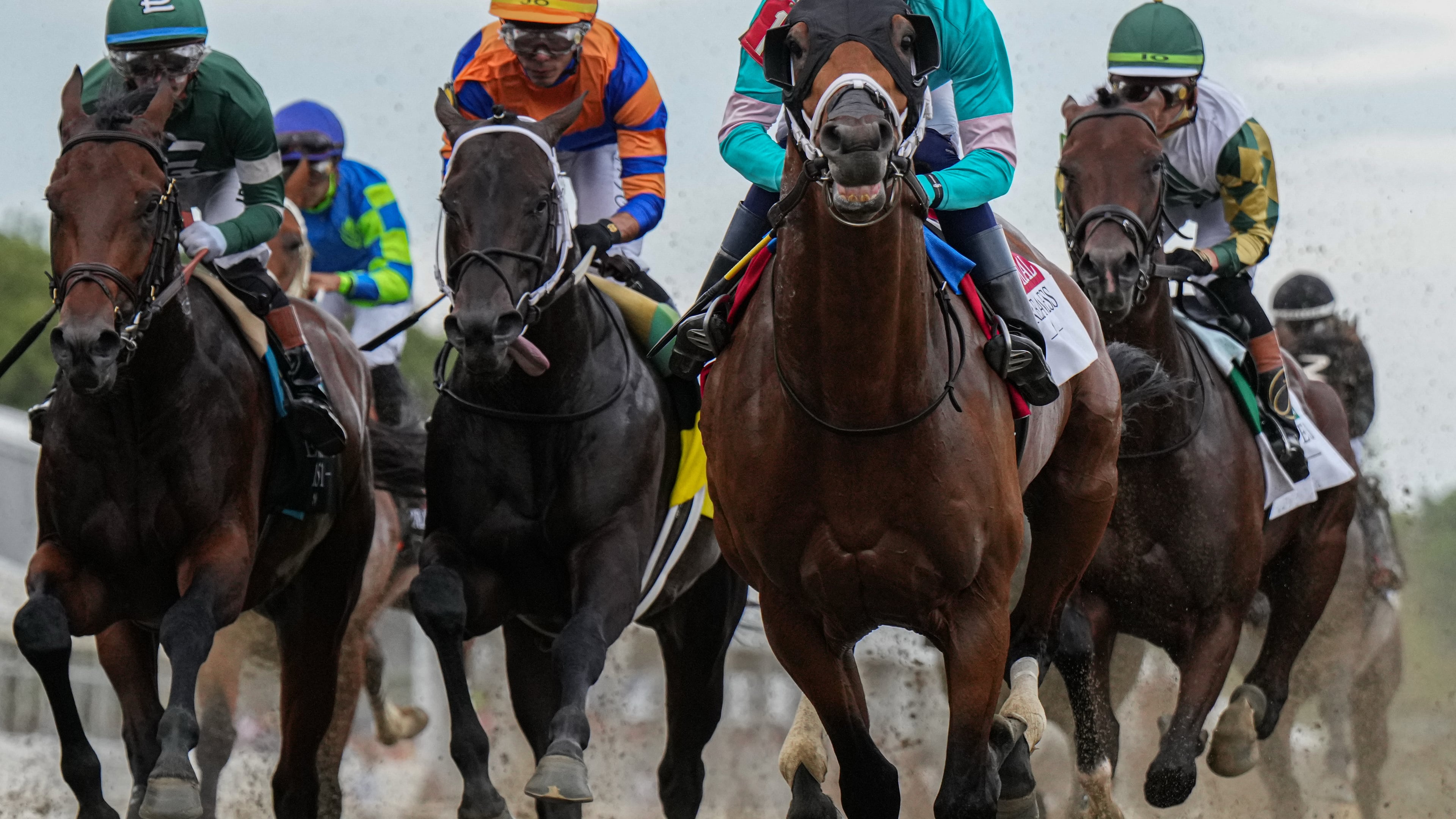 FILE - Taj Mahal and other horses compete during the 151st running of the Preakness Stakes horse race, May 16, 2026, at Laurel Park in Laurel, Md. (AP Photo/Julia Demaree Nikhinson, File)