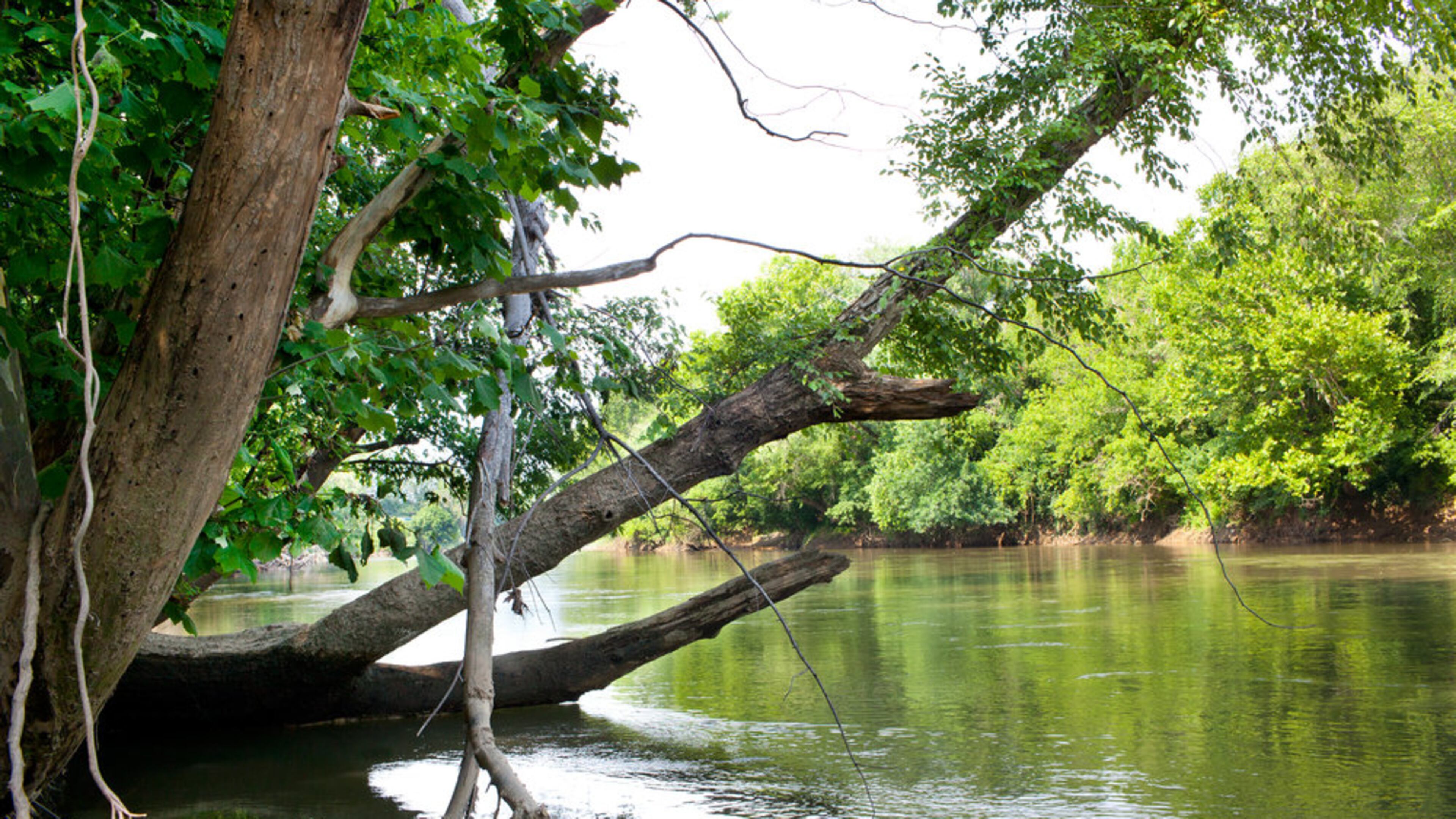 Peachtree Corners is hosting a public informational workshop on the Metropolitan River Protection Act. Courtesy of Chattahoochee NOW