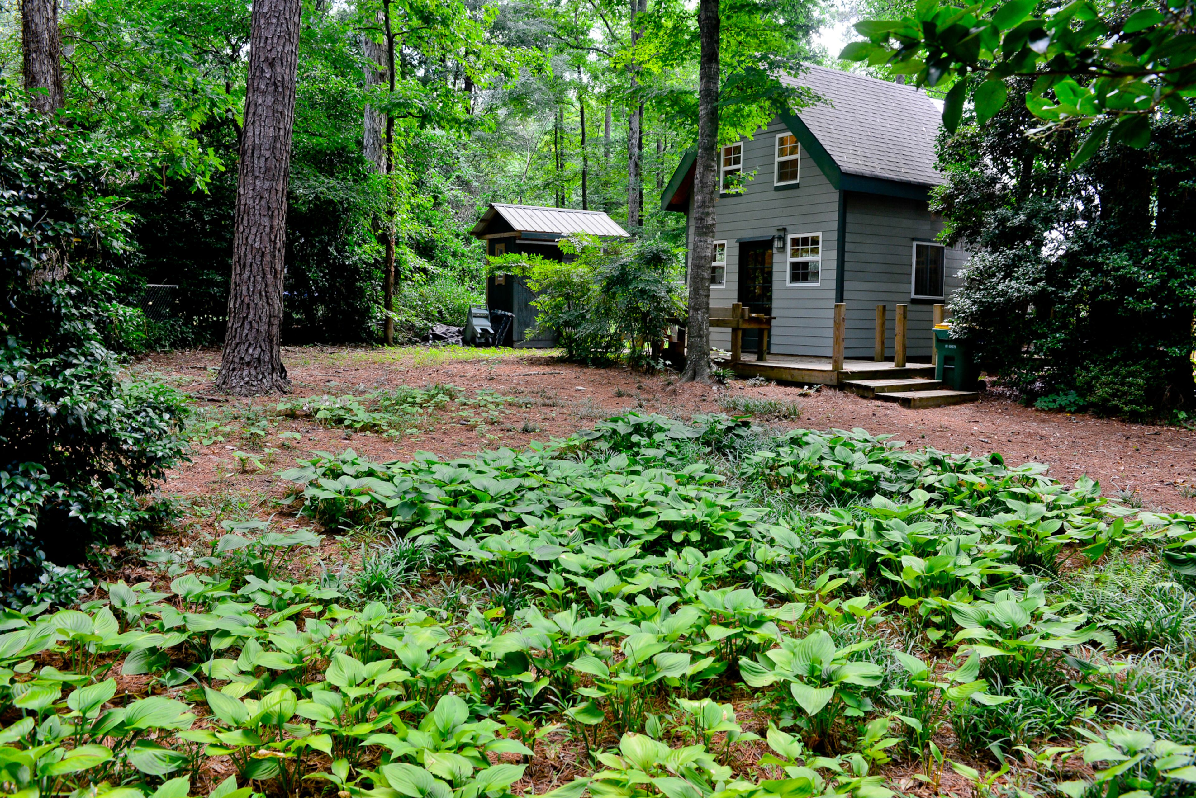 A large bed of hostas grows in the garden. Homeowner Teresa Stoker said hostas are some of her favorites, because they grow well in her shady yard. Christopher Oquendo/AJC FILE