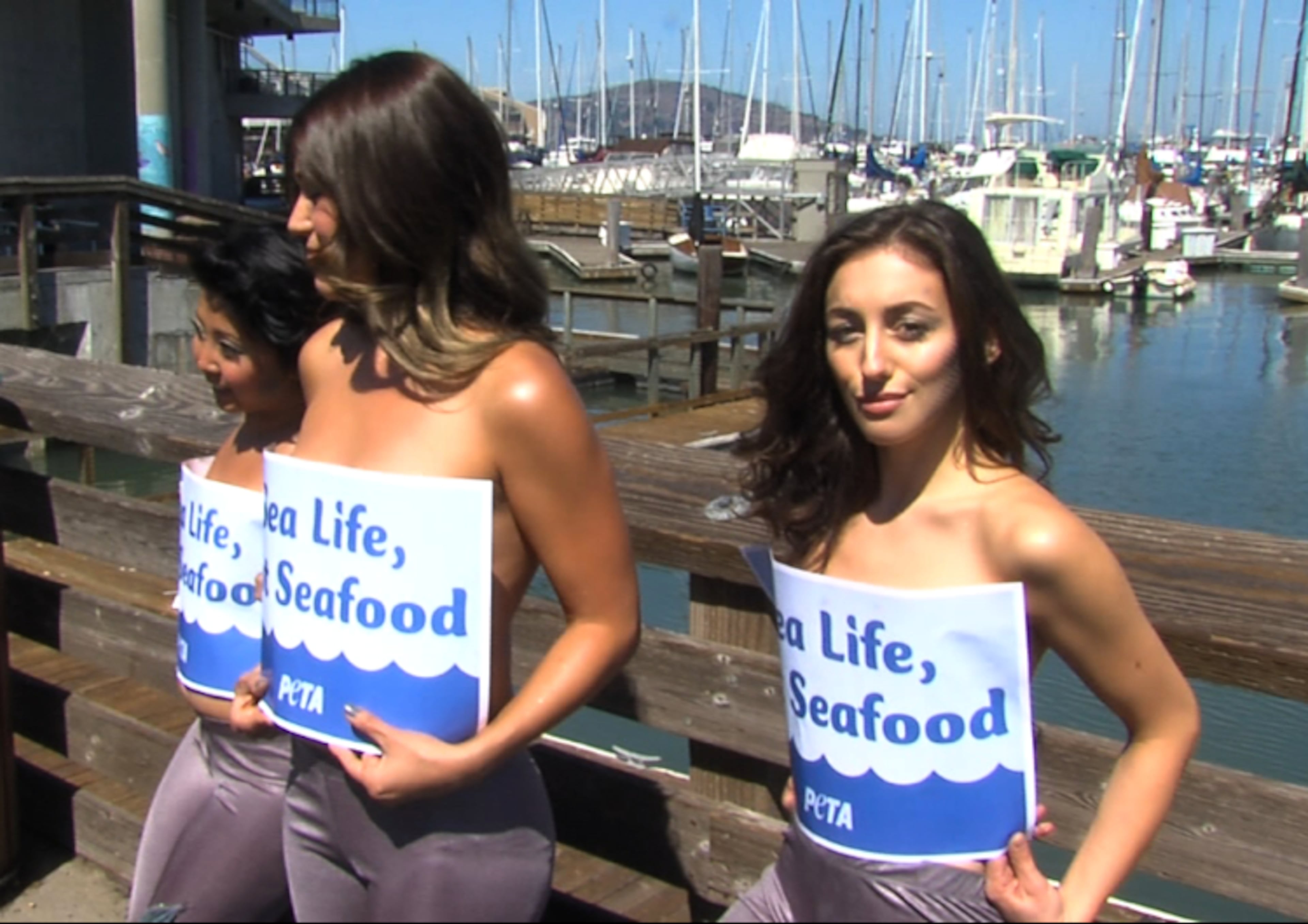 PETA chose Fisherman's Wharf for their topless mermaids to grab peoples attention because of all the seafood restaurants that populate the area.
