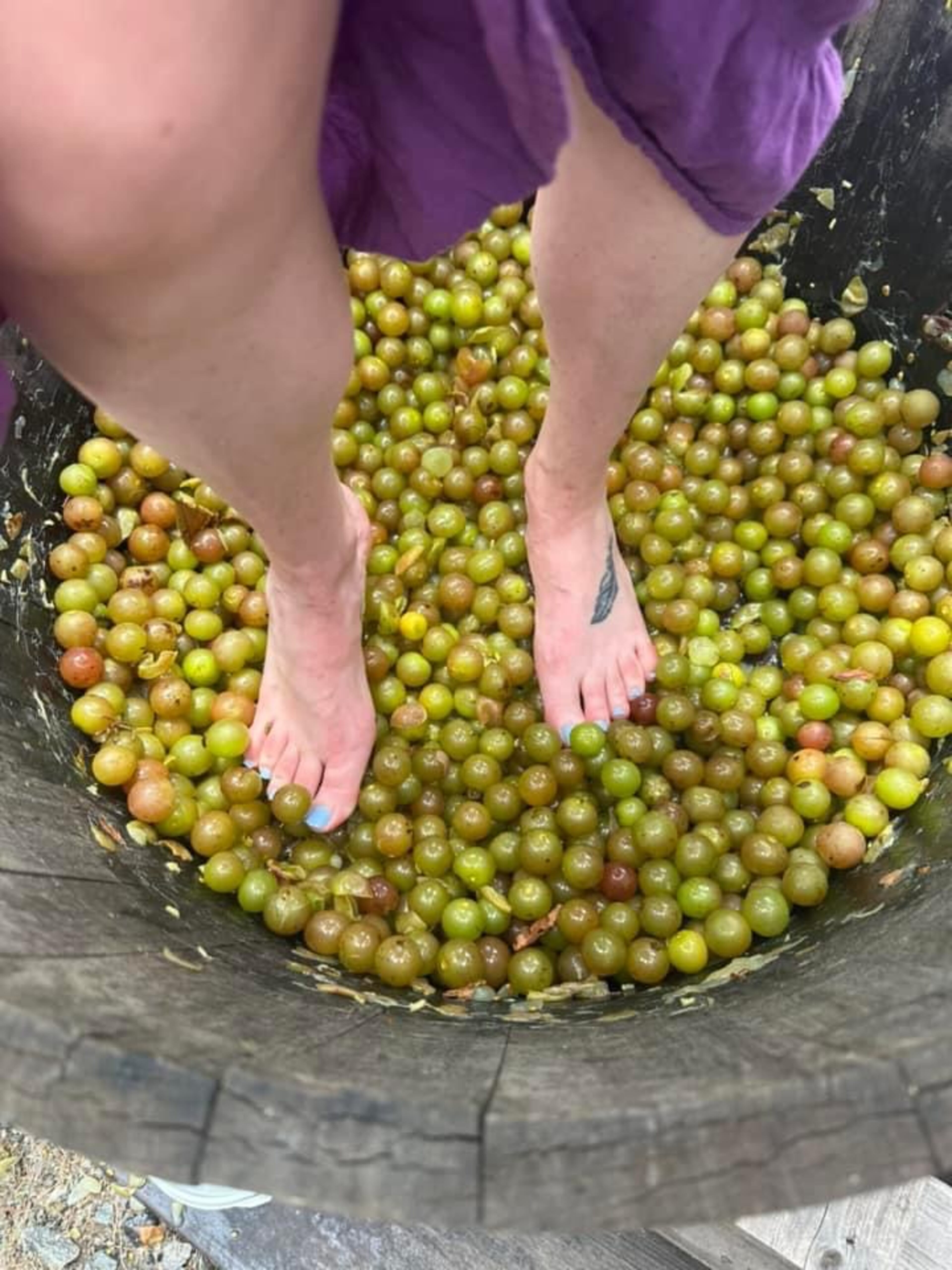 Wine lovers will be heading on down to Paulk Vineyards in Wray for the Georgia Muscadine Festival this summer.
Courtesy of Paulk Vineyards