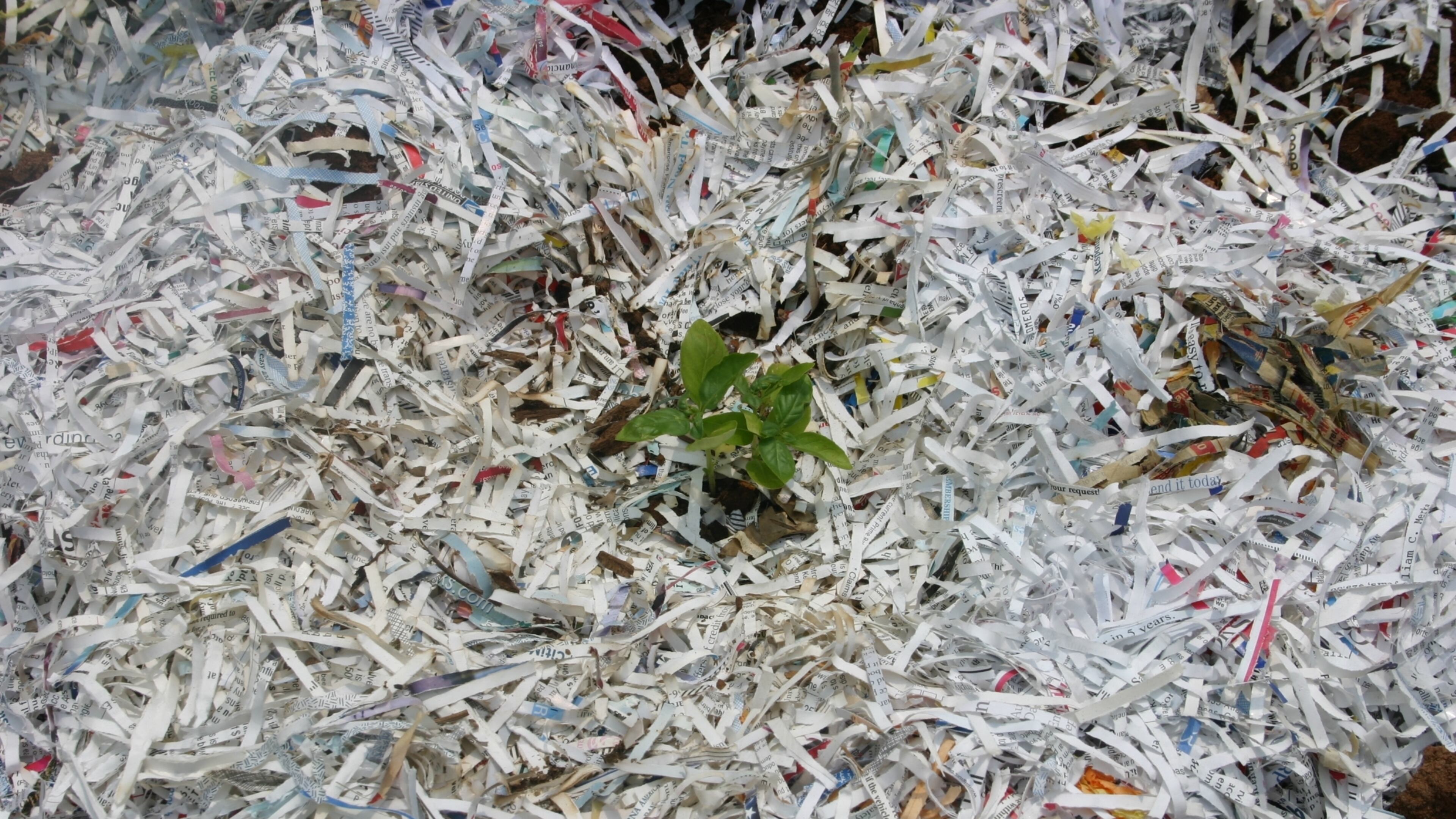 The event will also accept and recycle cooking fats, oils, grease and fluorescent light bulbs. For the light bulbs, there is a $5 recycling fee.