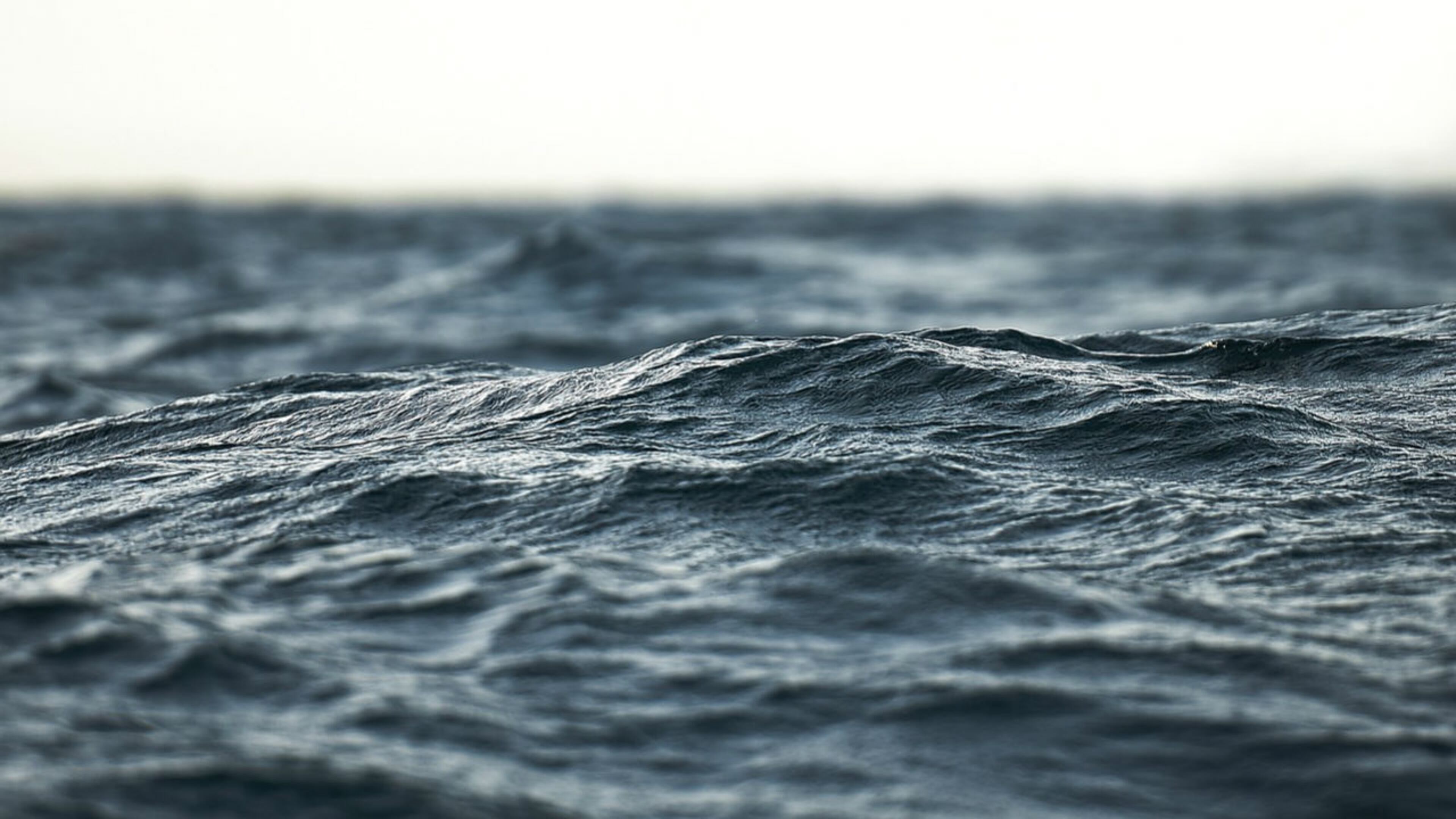 File photo. (Photo: StockSnap/Pixabay)