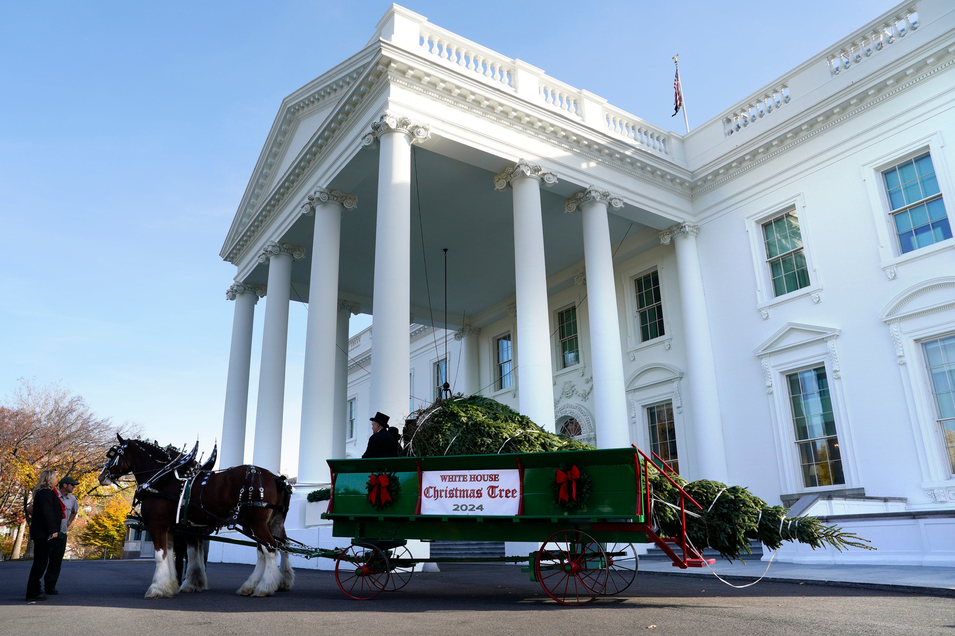 The official White House Christmas tree last year was a Fraser fir from Newland, North Carolina. (TNS)