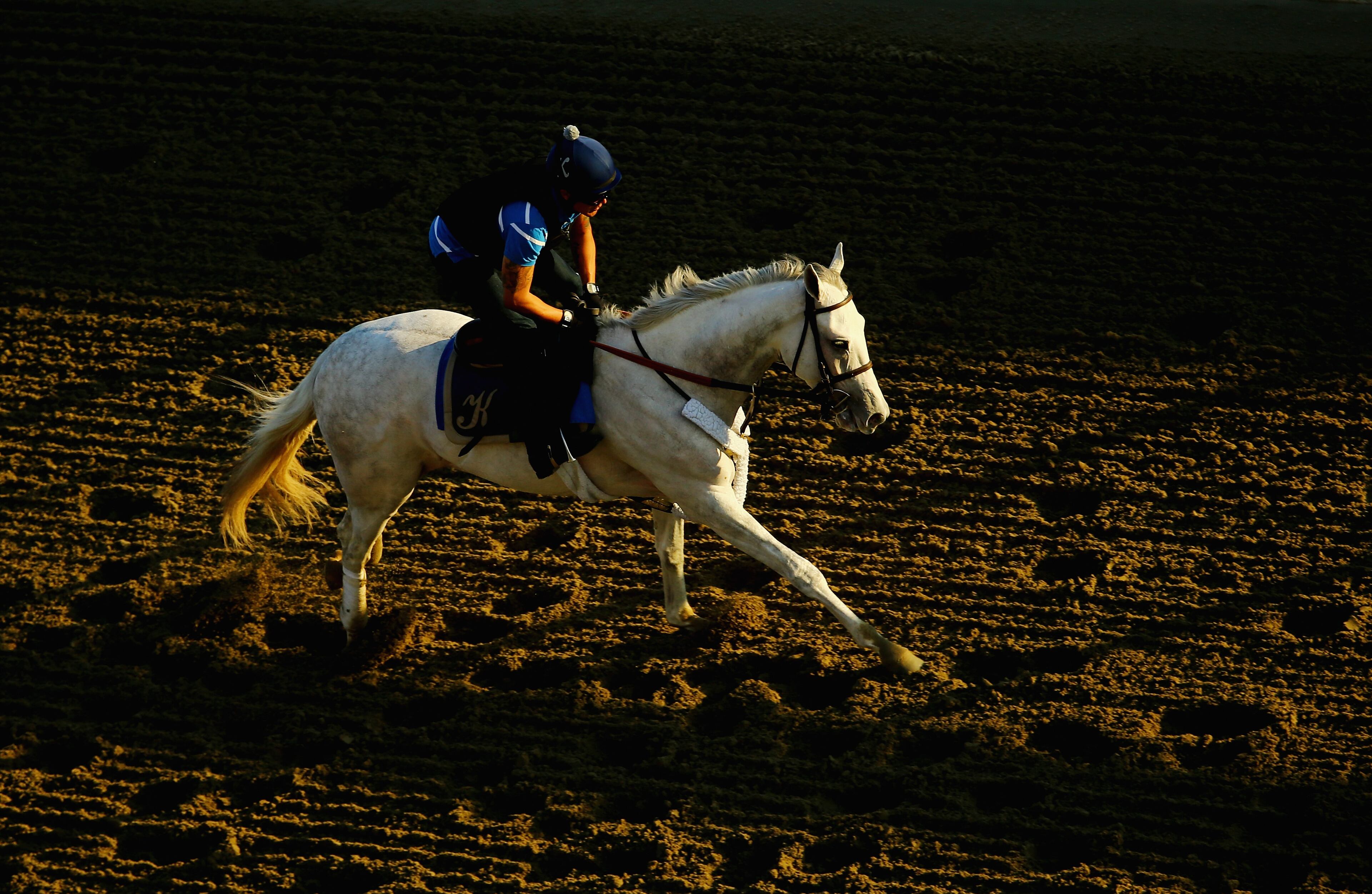 ELMONT, NY - JUNE 06: A general view of a horse and exercise rider training on the main track at Belmont Park on June 6, 2014 in Elmont, New York (Photo by Al Bello/Getty Images)