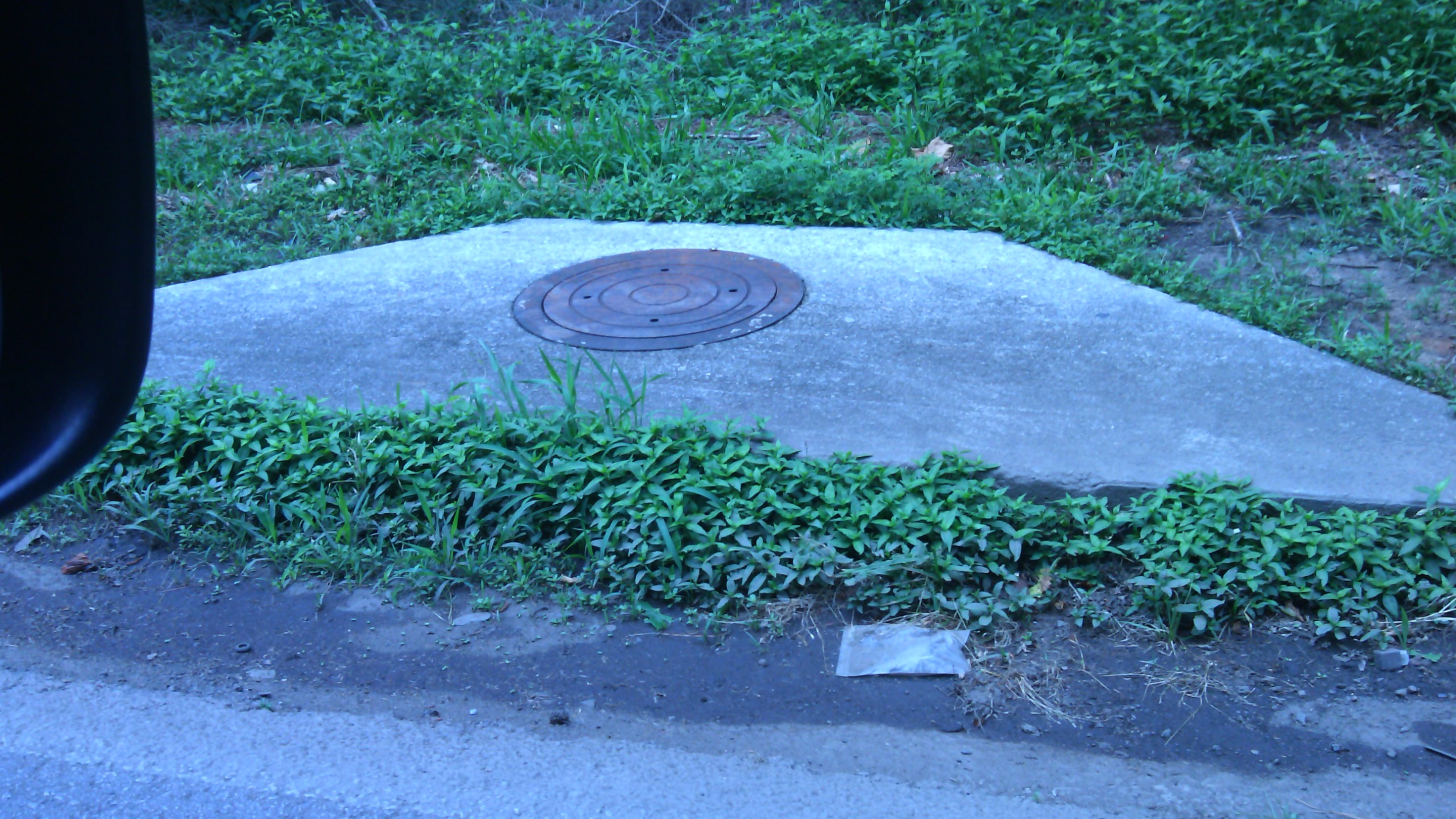 A reader hopes this drain in DeKalb County will soon be cleared. (Photo/Submitted)