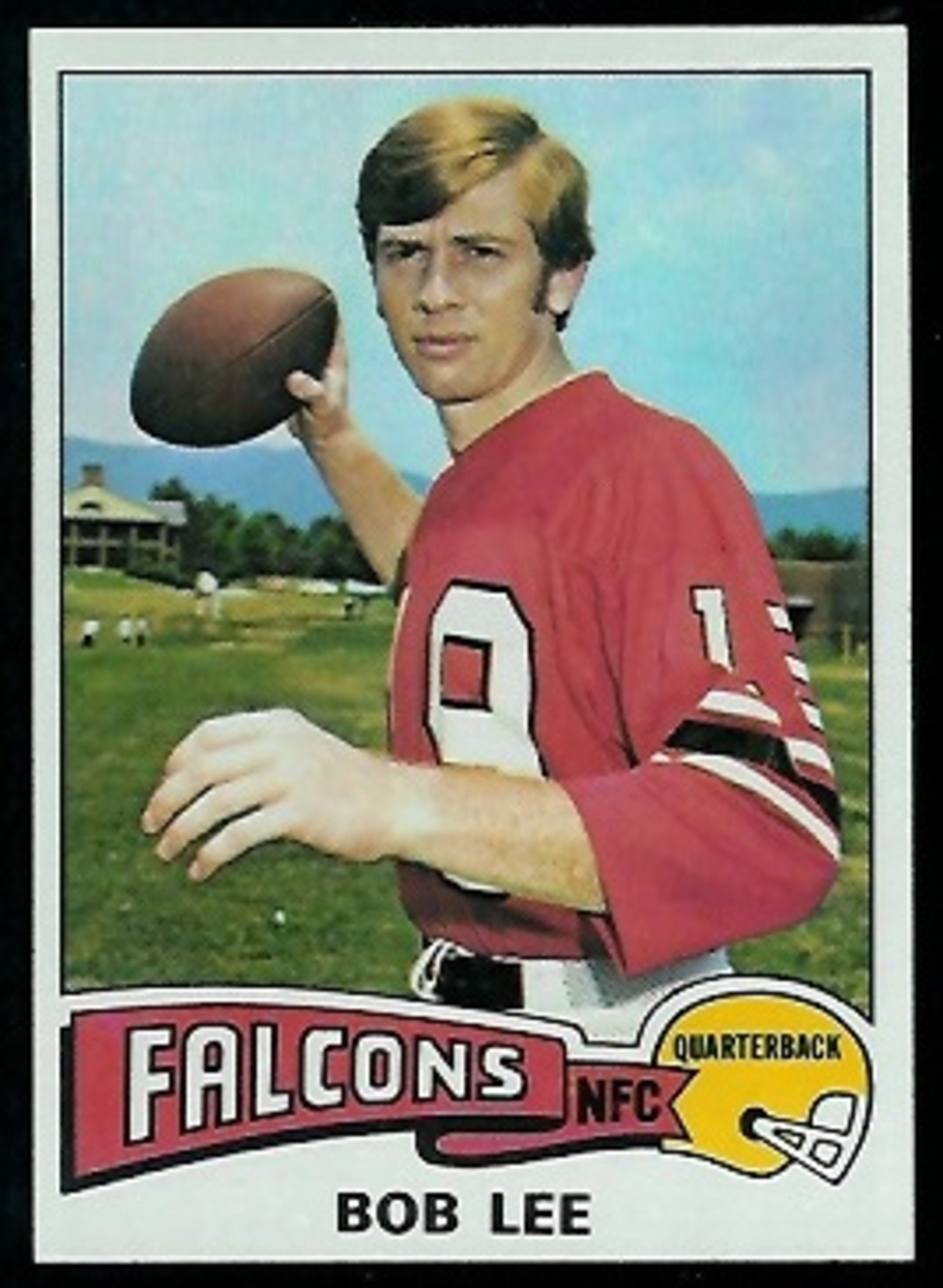THE GENERAL: Falcons QB Bob Lee.