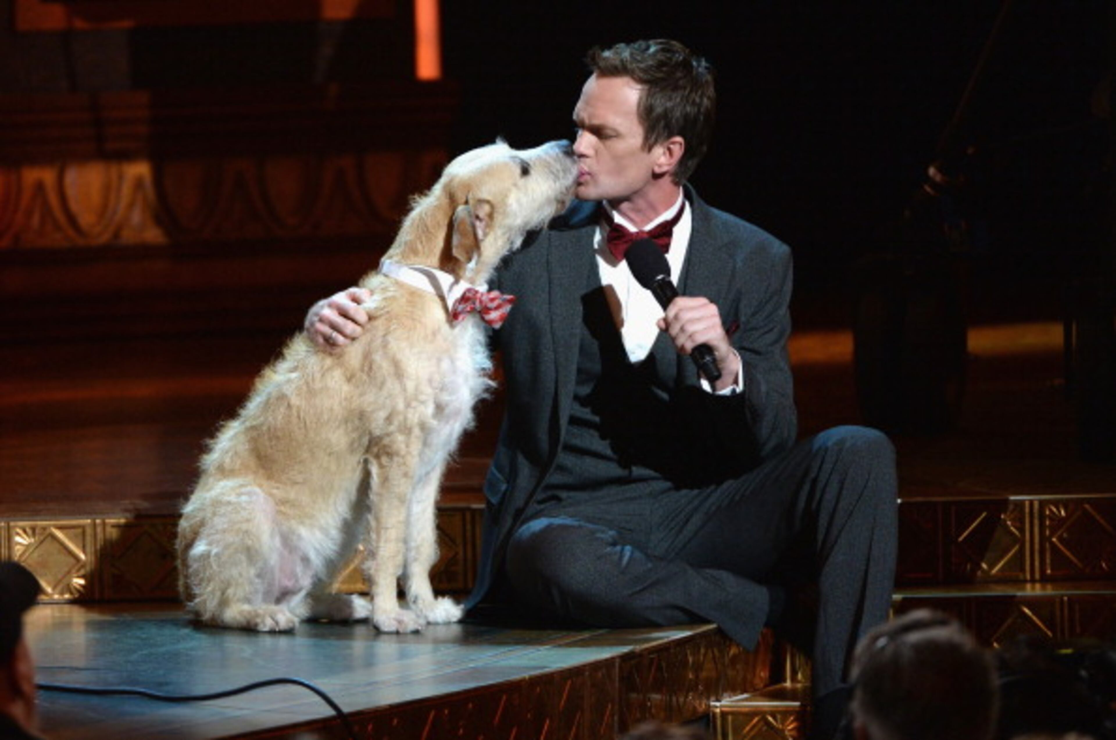 NEW YORK, NY - JUNE 09: Host Neil Patrick Harris performs onstage at The 67th Annual Tony Awards at Radio City Music Hall on June 9, 2013 in New York City. (Photo by Andrew H. Walker/Getty Images for Tony Awards Productions)