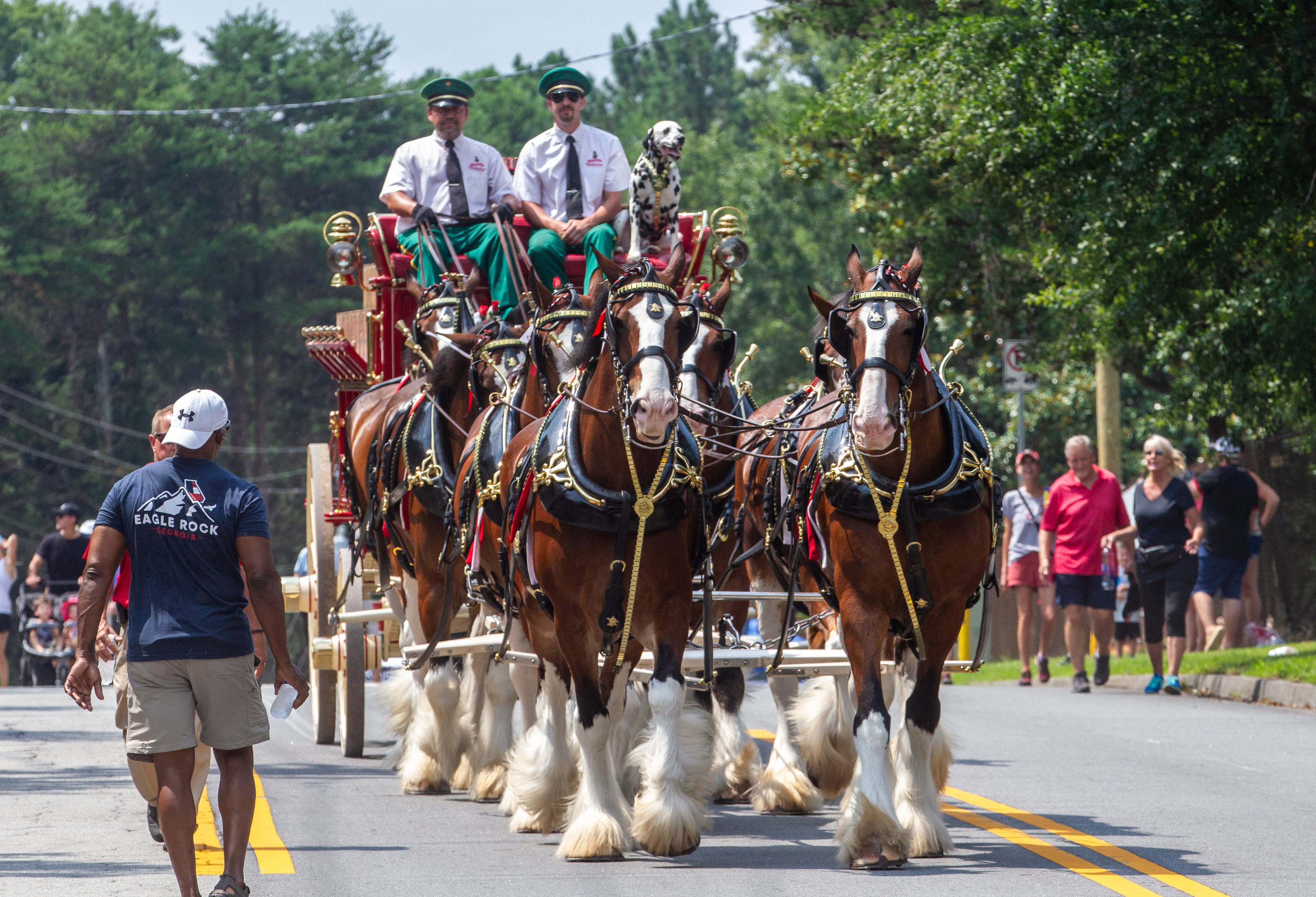 The Budweiser Clydesdales pull a cart along Apple Valley Road during the Brookhaven Cherry Blossom Festival on Saturday, July 31, 2021. STEVE SCHAEFER FOR THE ATLANTA JOURNAL-CONSTITUTION