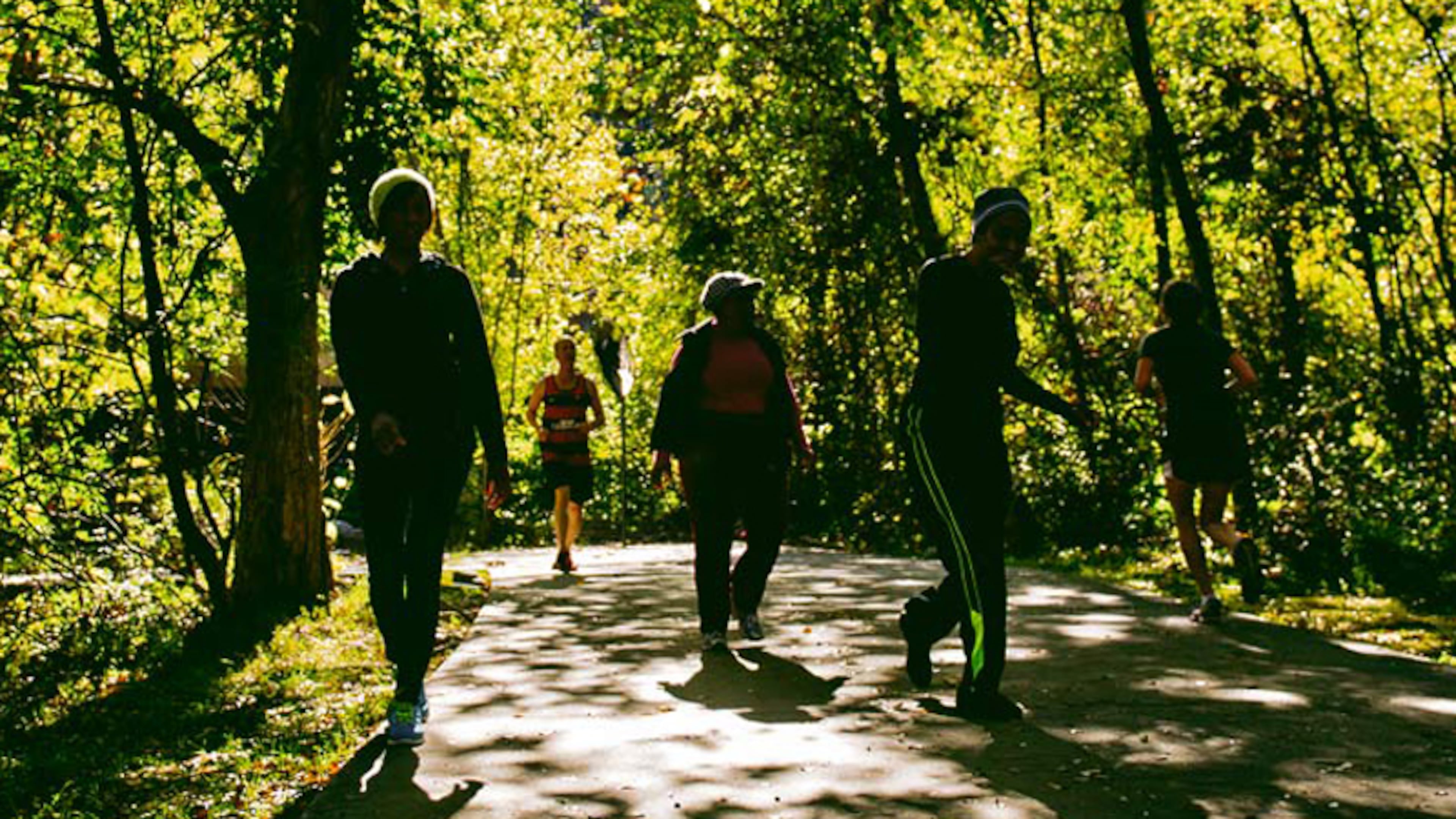 Alpharetta approved a $2.2 million contract for reconstruction of a boardwalk on the Big Creek Greenway. CITY OF ALPHARETTA