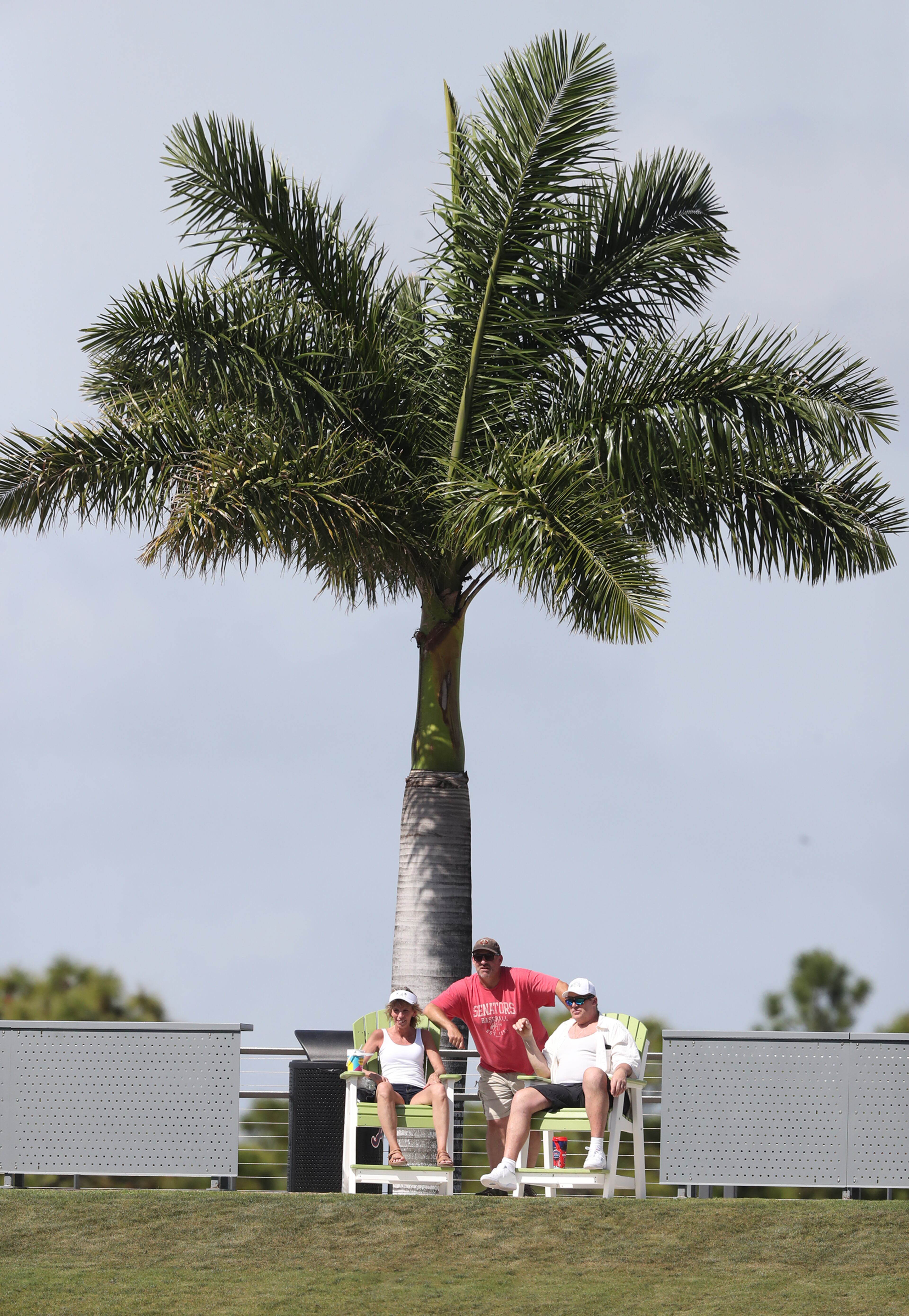 Fans watch the Atlanta Braves play the Minnesota Twins from under a palm tree in center field. Curtis Compton / Curtis.Compton@ajc.com”