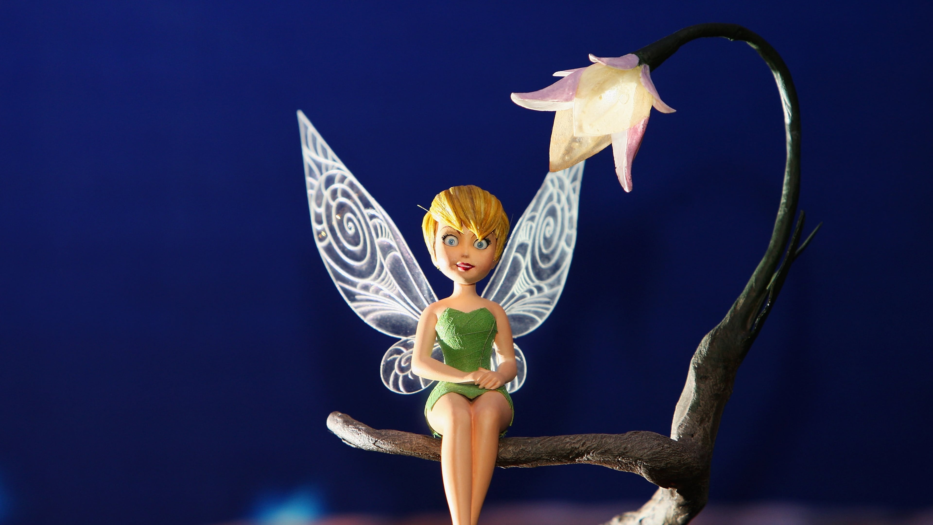 Tinkerbell may not be the Tooth Fairy, but a proud father used a fairy that looked just like her when he made a video of the Tooth Fairy's visit for his son.