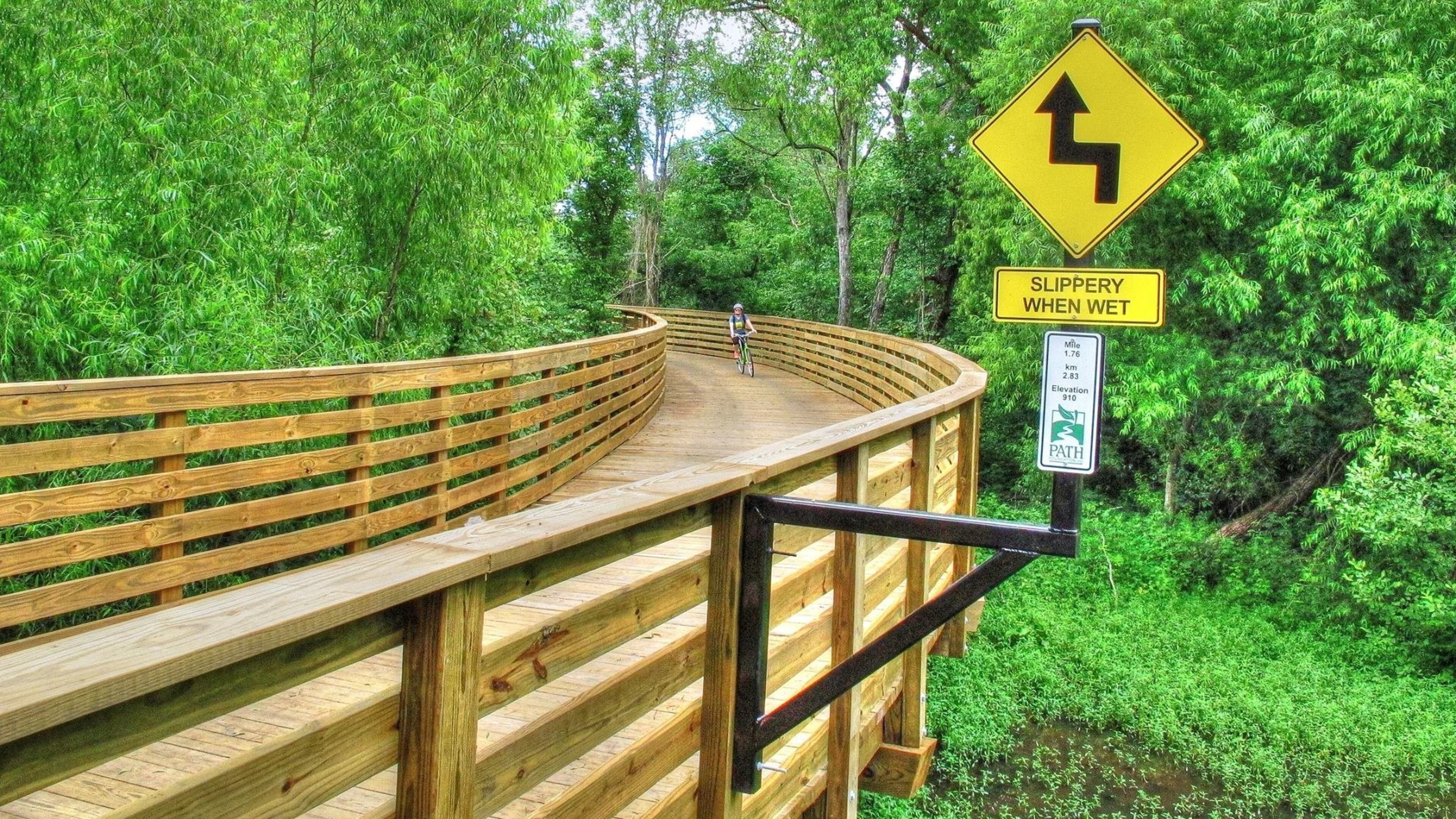 The mile-long treehouse boardwalk in Mason Mill Park near the Mason Mill Tennis Center. Contributed by PATH Foundation