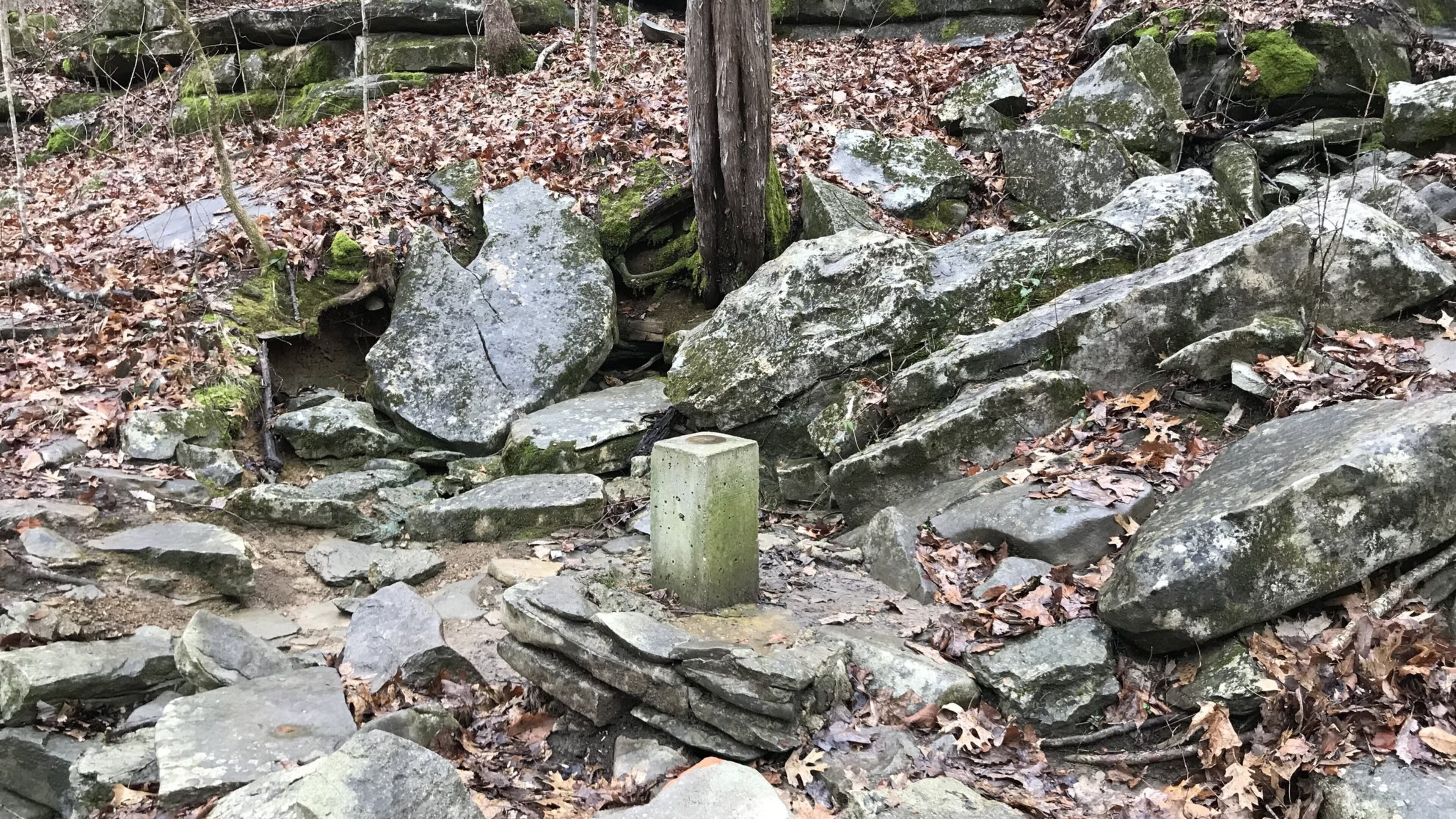A rectangular concrete marker in the woods shows the current border at the corner of Alabama, Georgia and Tennessee. Georgia legislators are trying to move the border to the north so the state can gain access to water from the Tennessee River. Photo credit: Rep. Marc Morris
