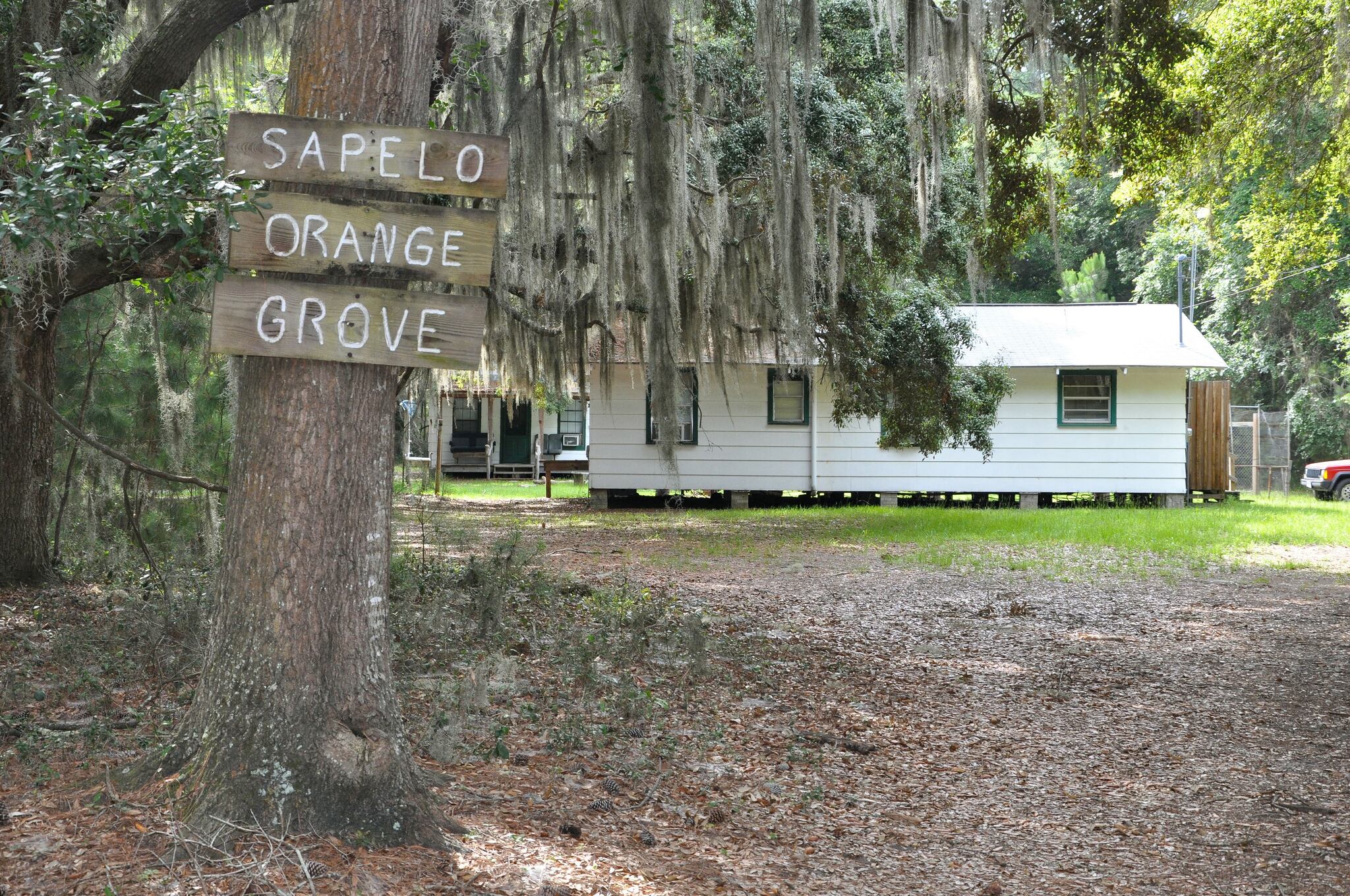 Voters side with Gullah Geechee in Sapelo Island zoning referendum