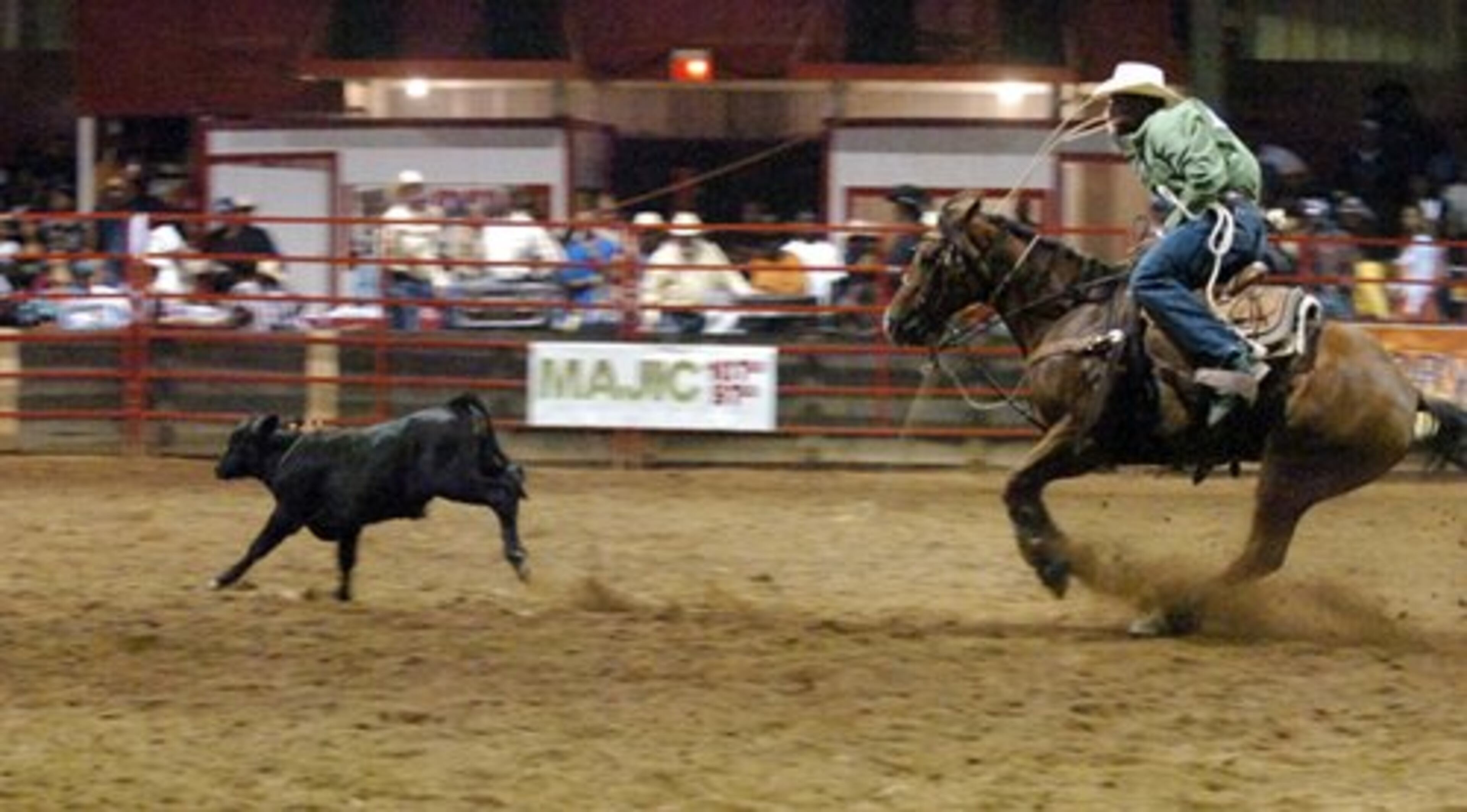 Keary Moore of Texas gets a rope on a calf before taking it down during the tie down ropin' at the Bill Pickett Invitational Rodeo Saturday evening.The calf races into the arena at full speed, the roper follows with his lariat whirling above his head while overtaking the calf at full gallop.