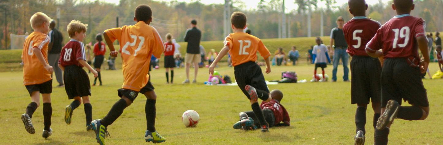 Now outdoor recreational facilities may be allowed in Smyrna's Light Industrial zoning district - but with screening when next to a residential area.