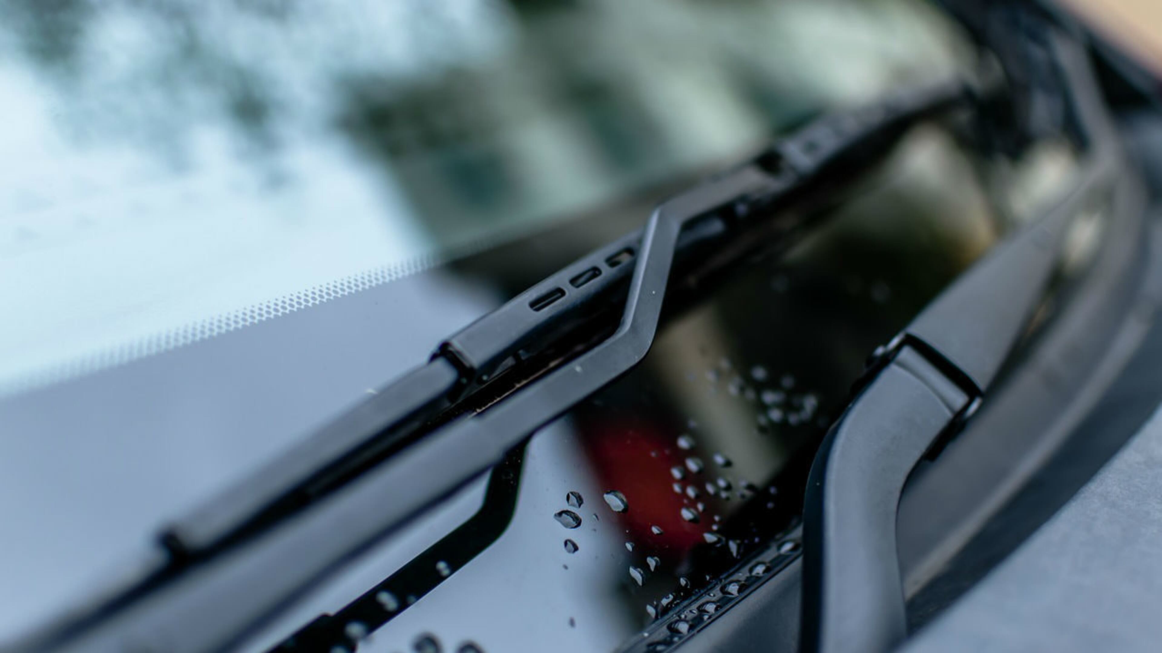 FILE PHOTO: A snake surprised a driver and his passenger Tuesday when it slithered along their SUV then across their windshield before being flung from the vehicle by the wipers.