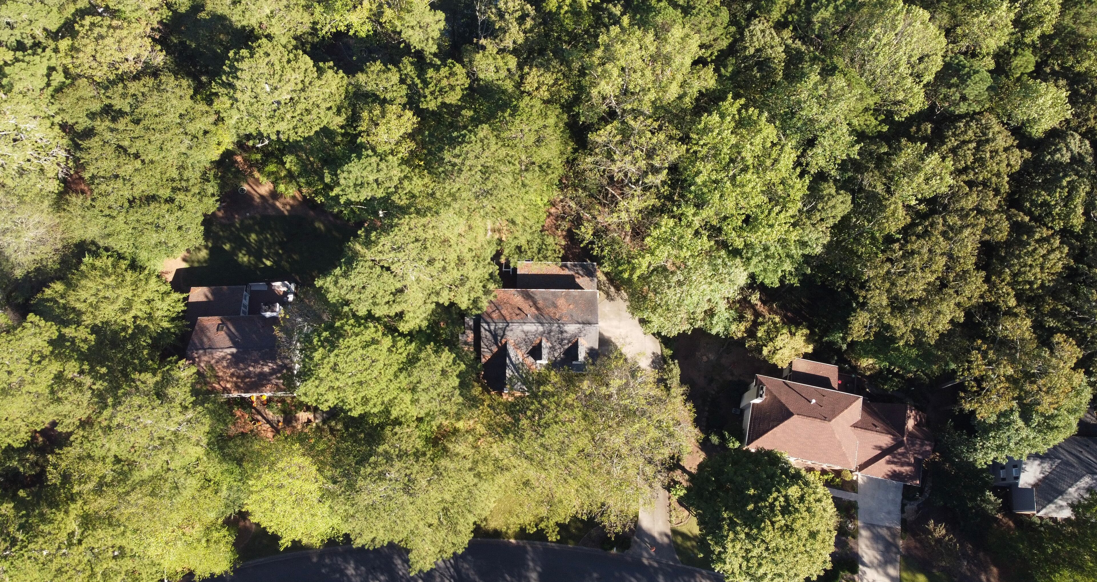 Ross Cavitt's home in Cobb County was cancelled by his insurance company because there were too many trees nearby.