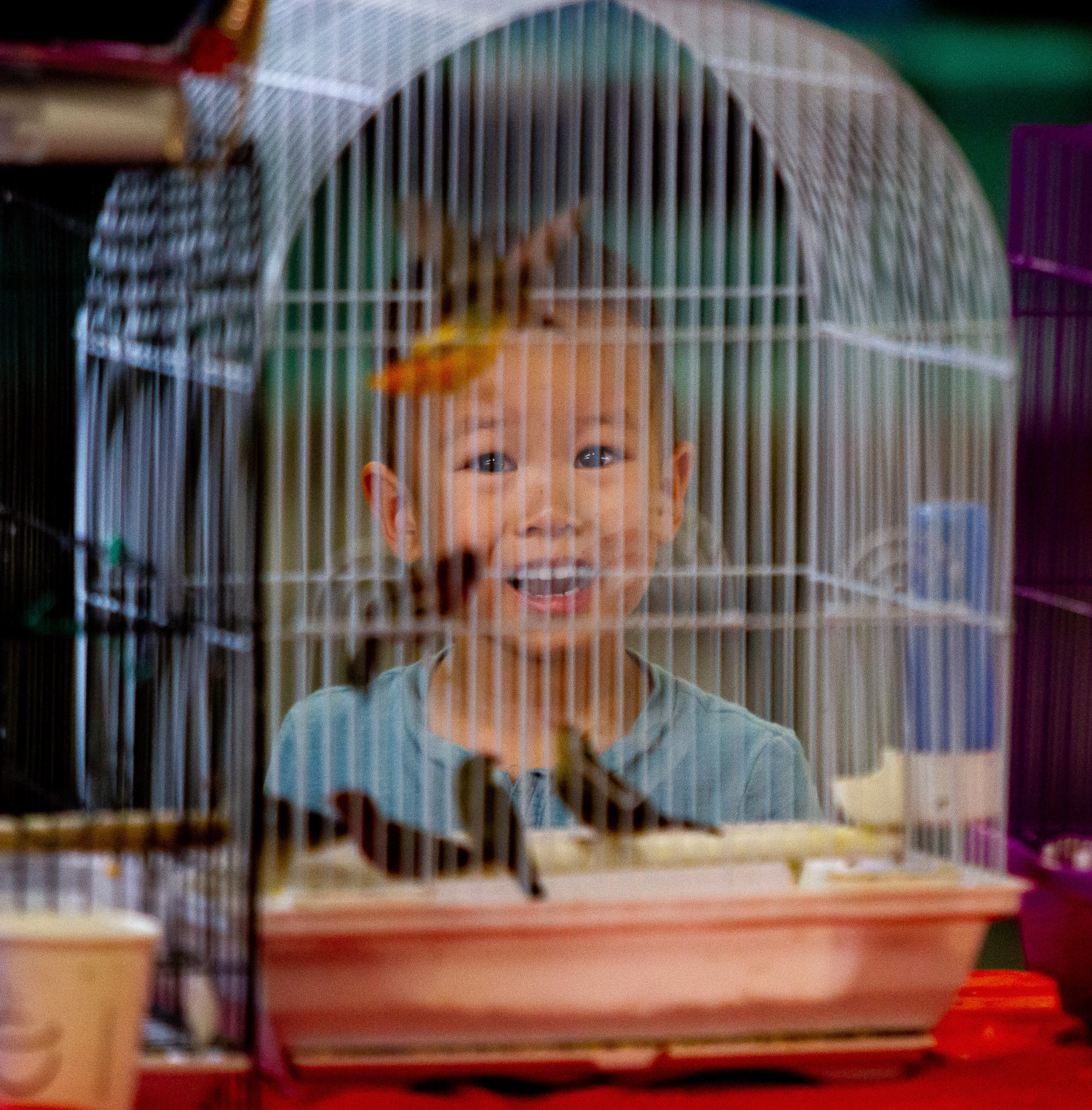Eason Yang looks at some of the birds for sale during the Southeast Exotic Bird Fair at the Gwinnett County Fairgrounds on Sunday, July 7, 2019. STEVE SCHAEFER / SPECIAL TO THE AJC