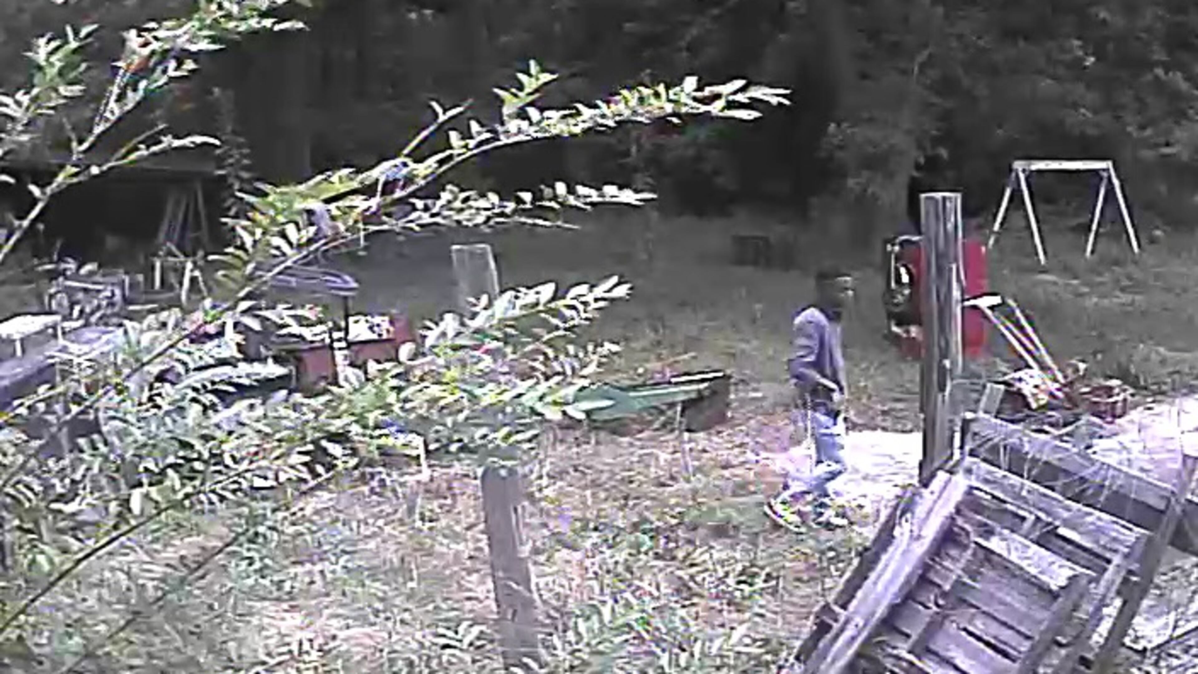 This is a photo of a suspect being sought by authorities in connection with an armed bank robbery.