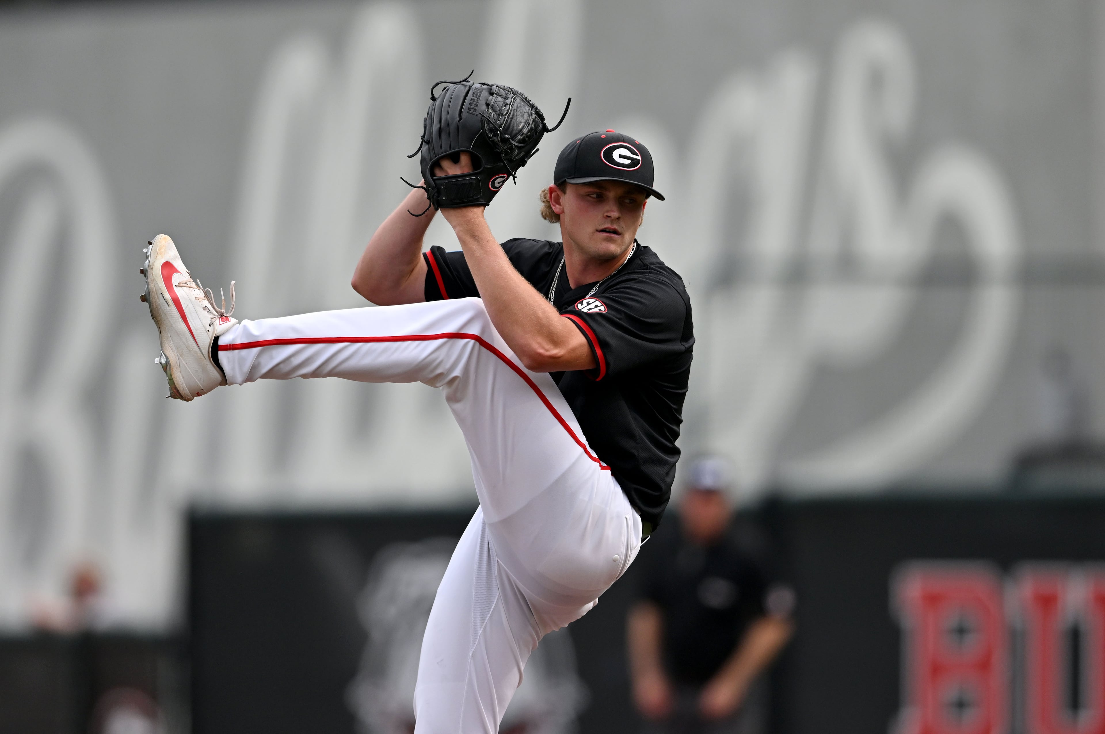 UGA baseballl vs. Long Island