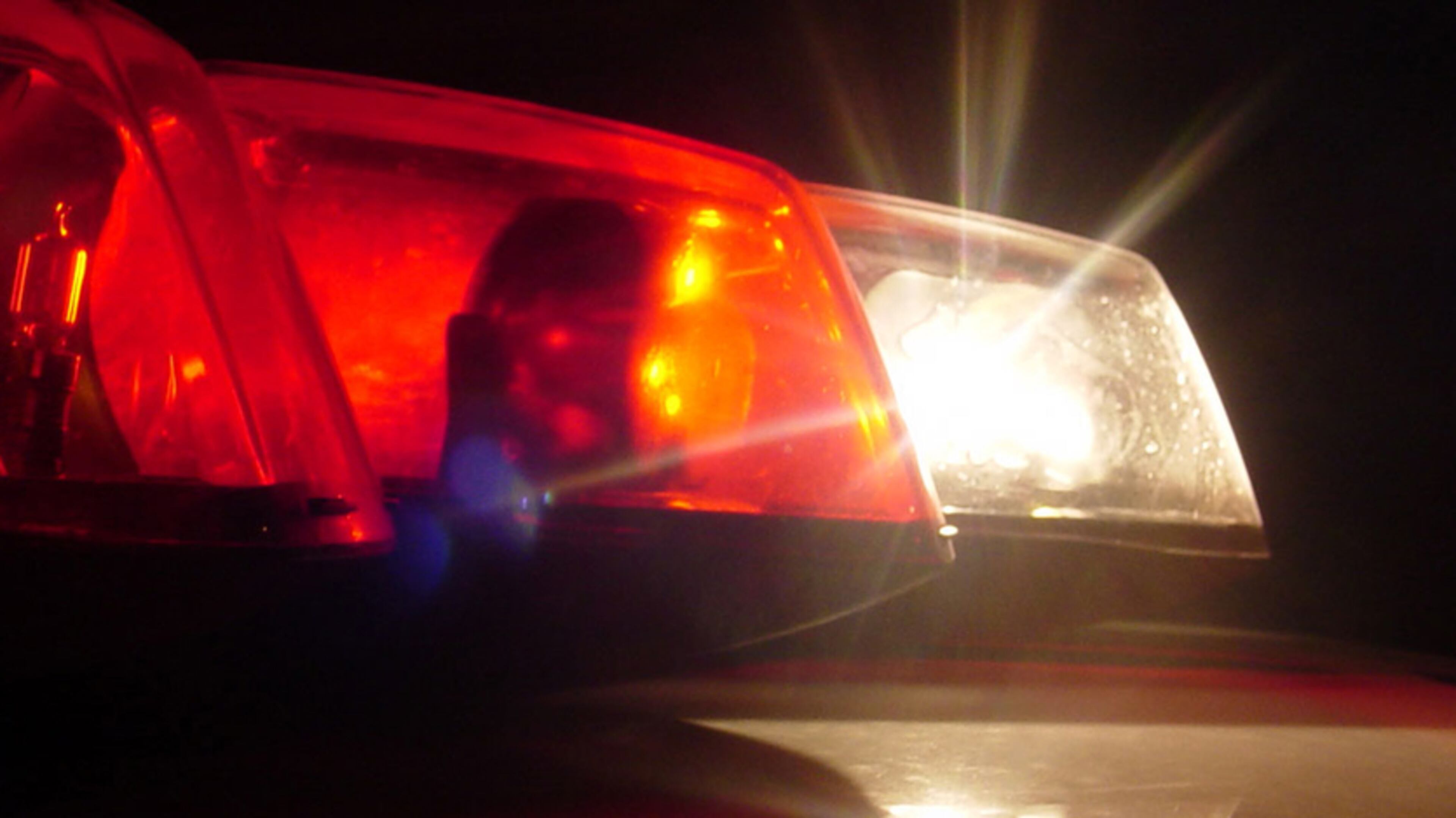 A Palm Beach Gardens man was arrested Wednesday after he allegedly pointed a gun at his neighbor and pelted the man’s house with potted plants, according to an arrest report.