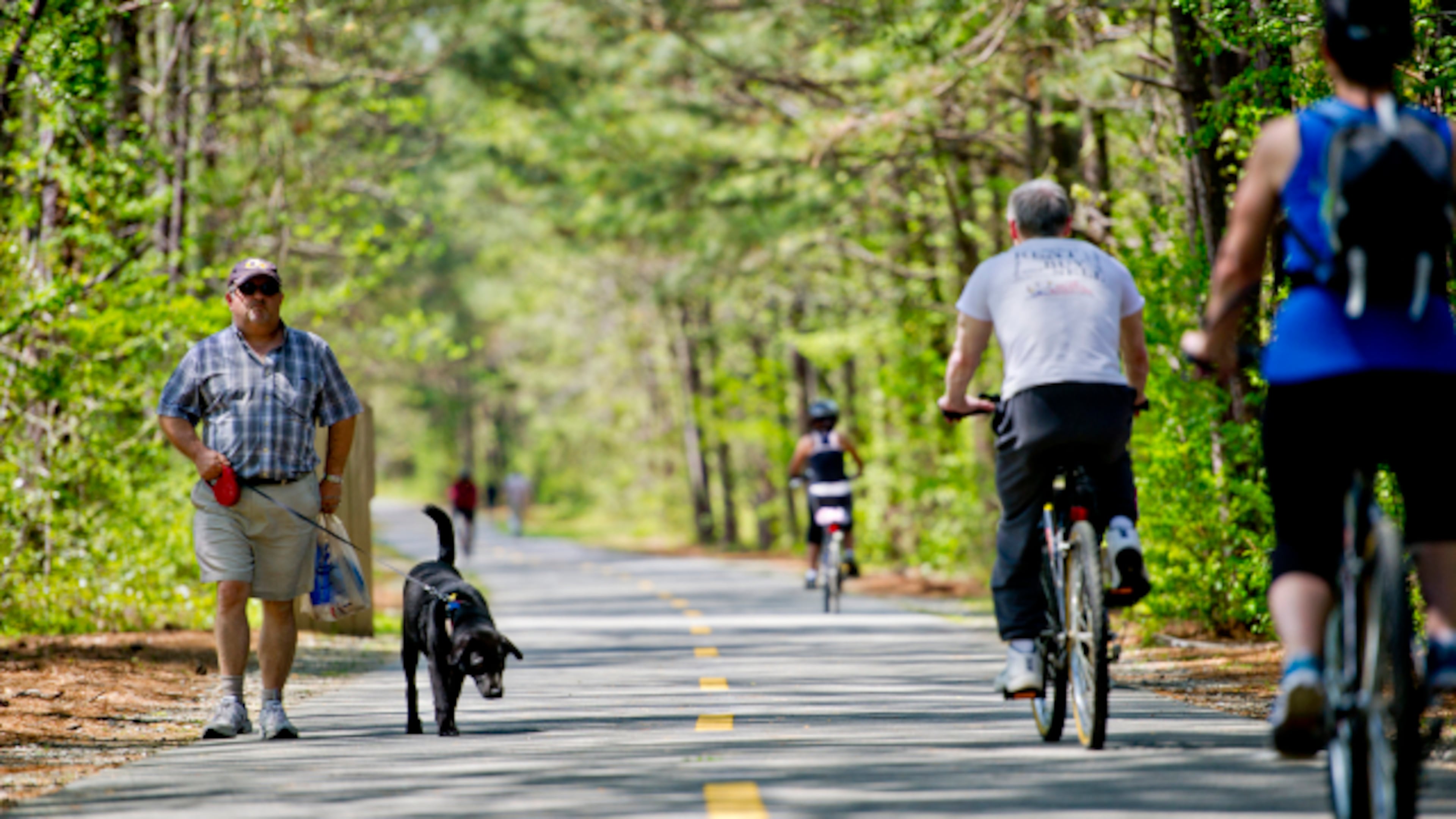 Alpharetta will hold a public meeting at 6:30 p.m. Jan. 17 to talk about paths and trails linking downtown with the surrounding area. JONATHAN PHILLIPS / SPECIAL